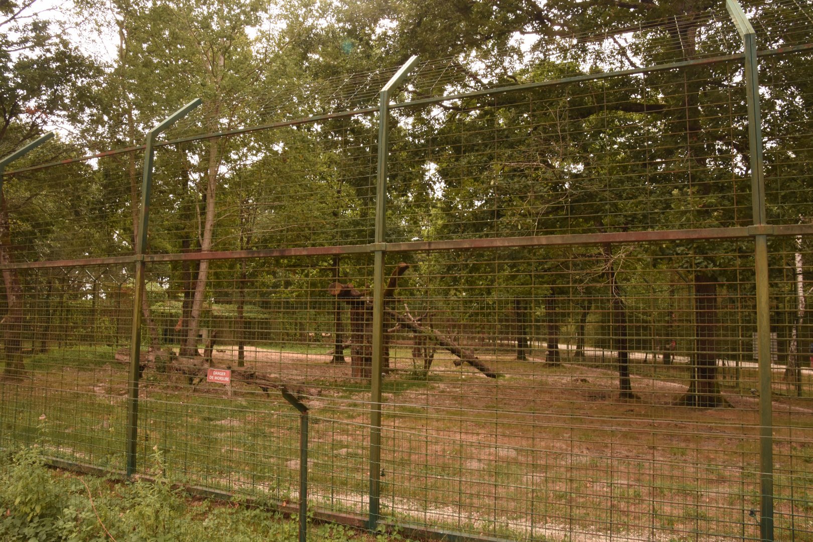 Sumatran Tiger enclosure