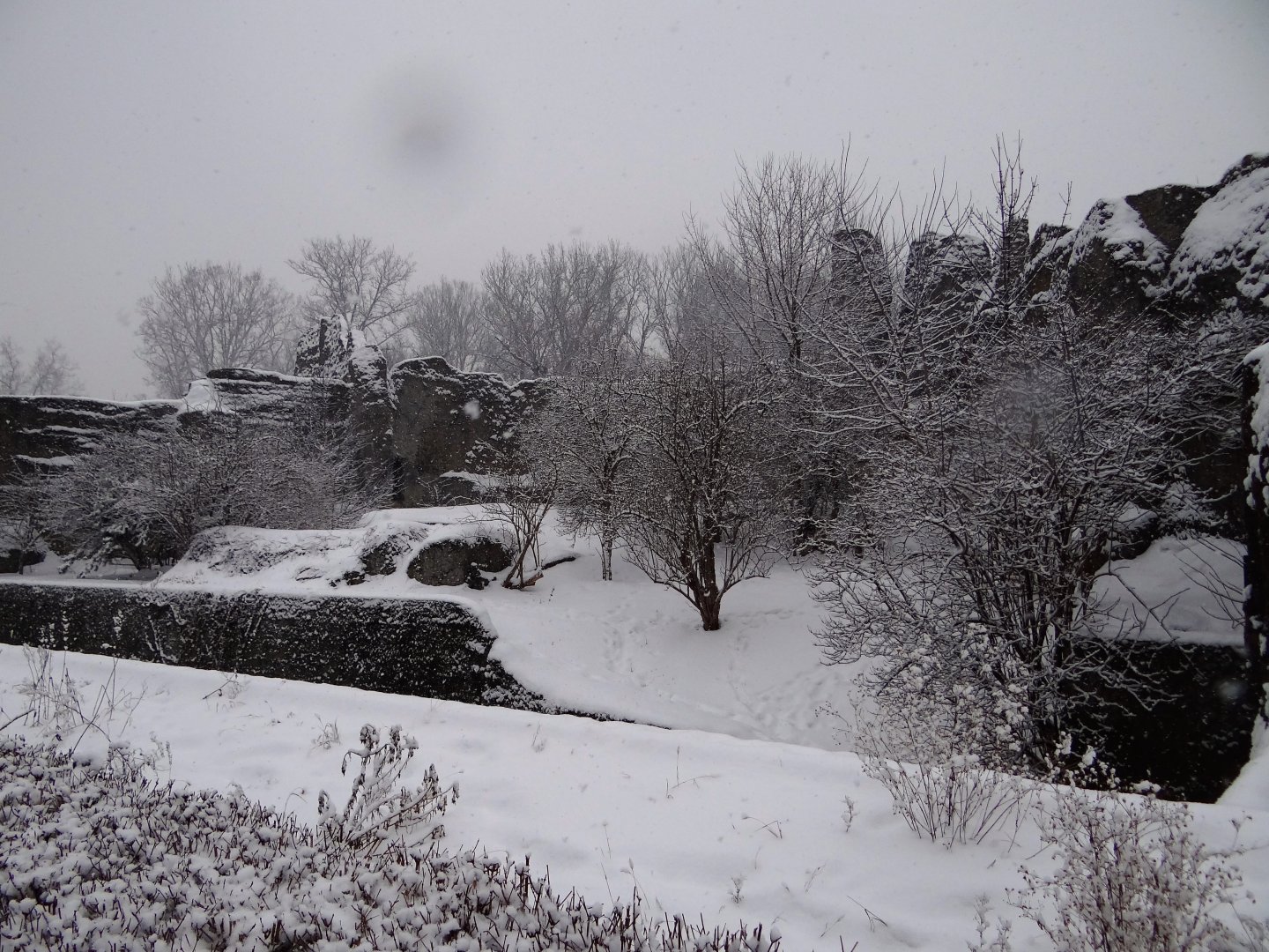 Sumatran Tiger enclosure
