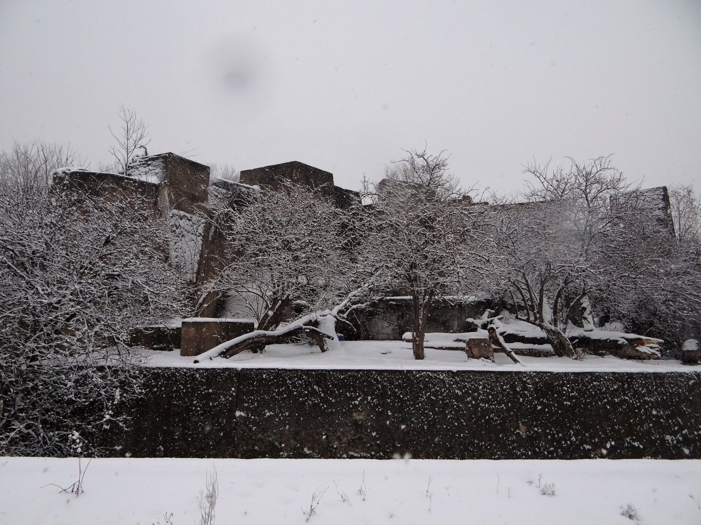 Sumatran Tiger enclosure