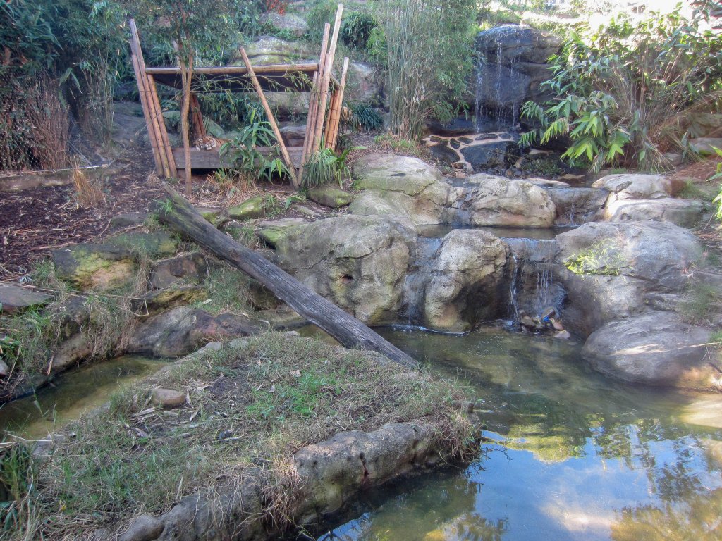 Sumatran Tiger enclosure
