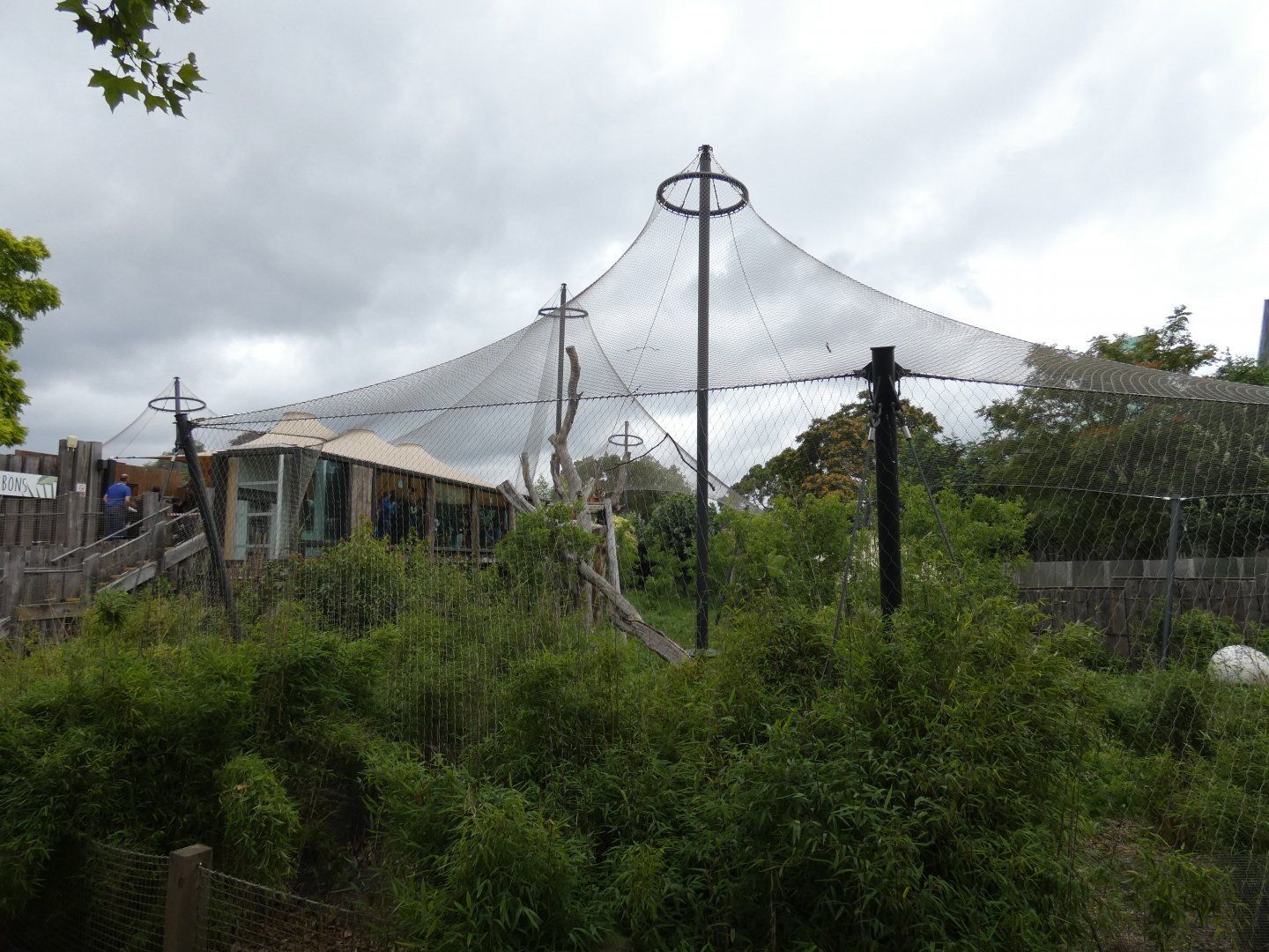 Sumatran tiger enclosure