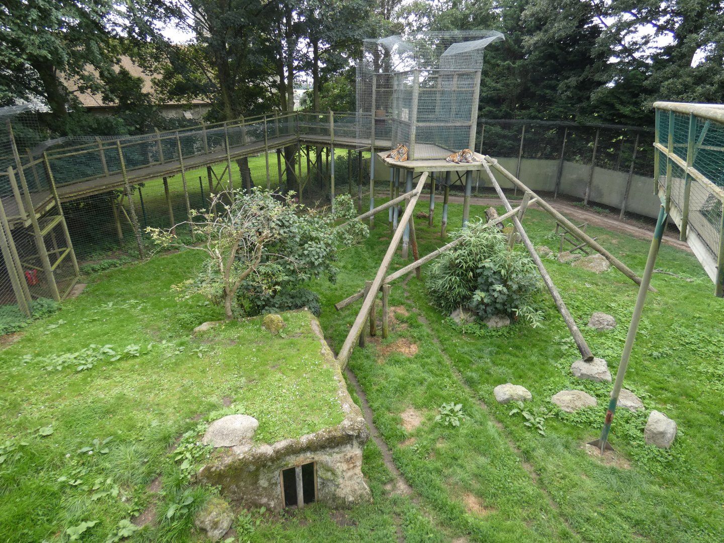 Sumatran tiger enclosure