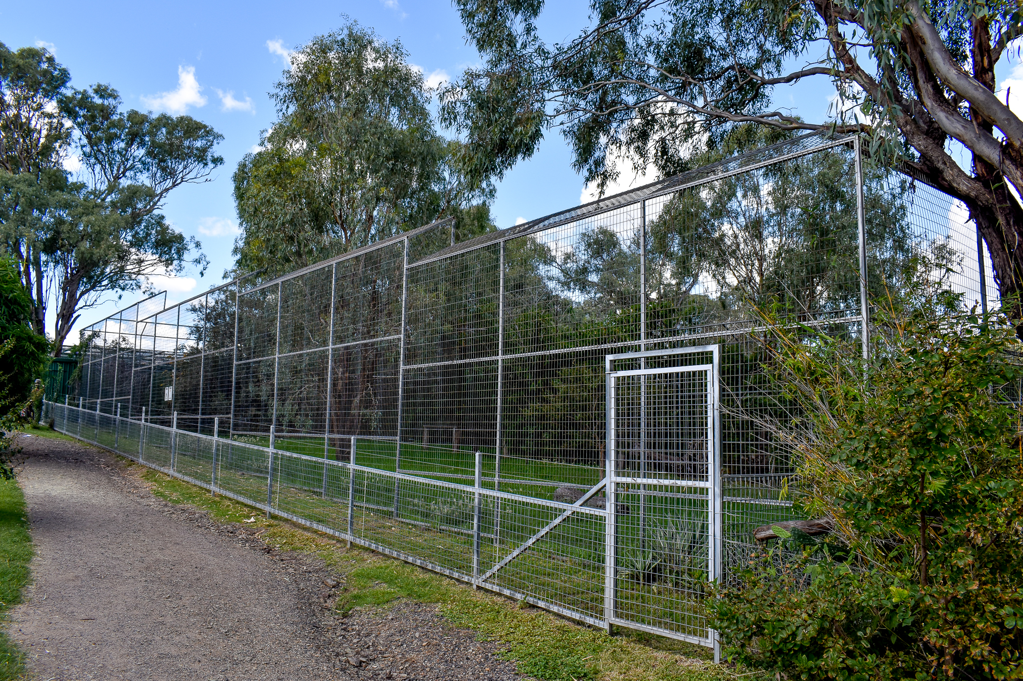 Sumatran Tiger Enclosure