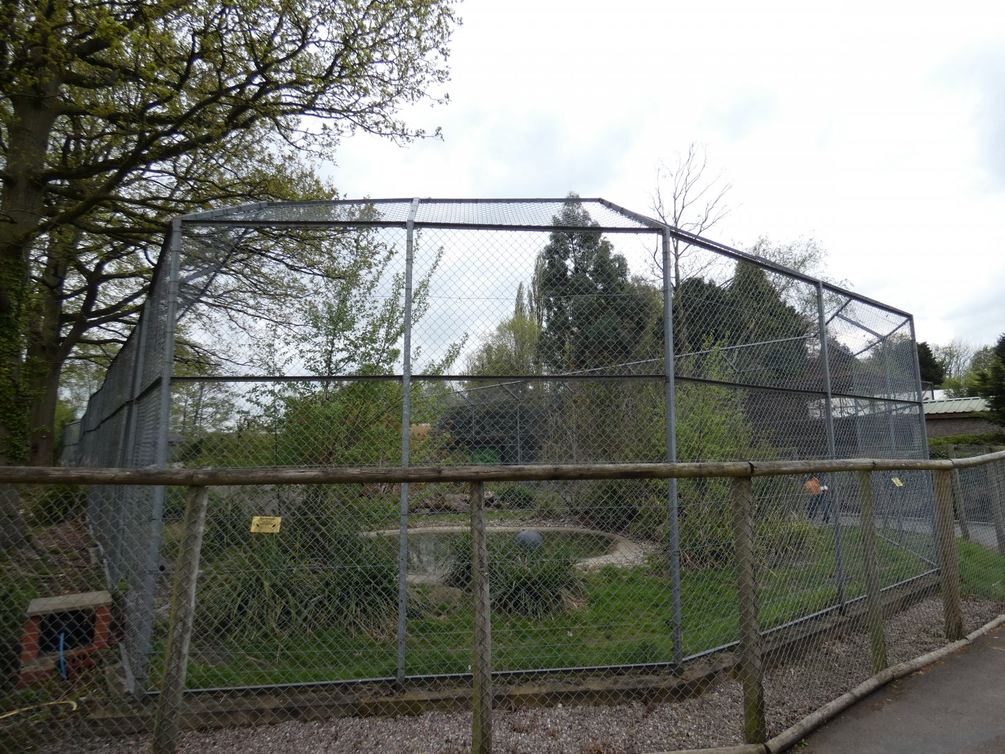 Sumatran tiger enclosure