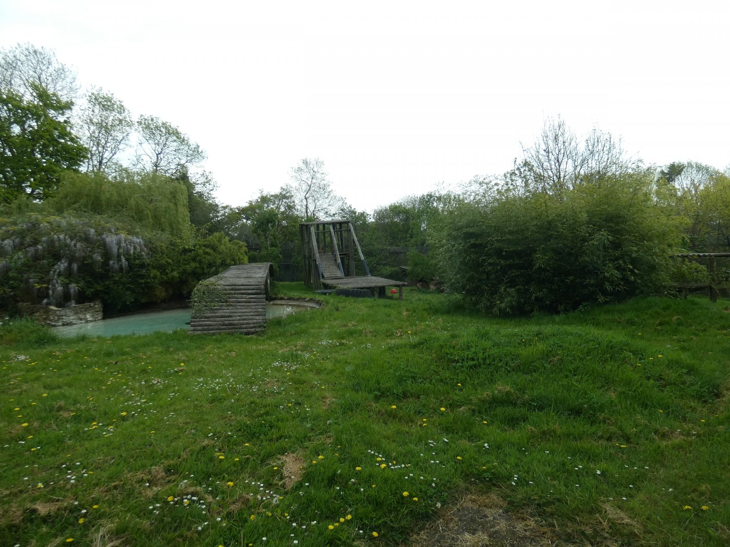 Sumatran tiger enclosure