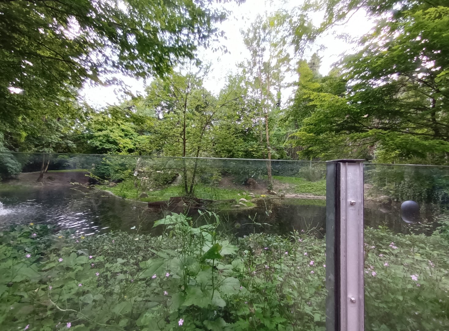 Sumatran Tiger Enclosure