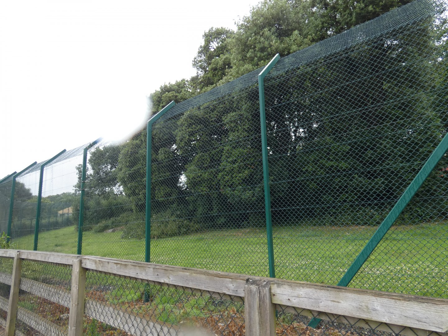 Sumatran tiger enclosure