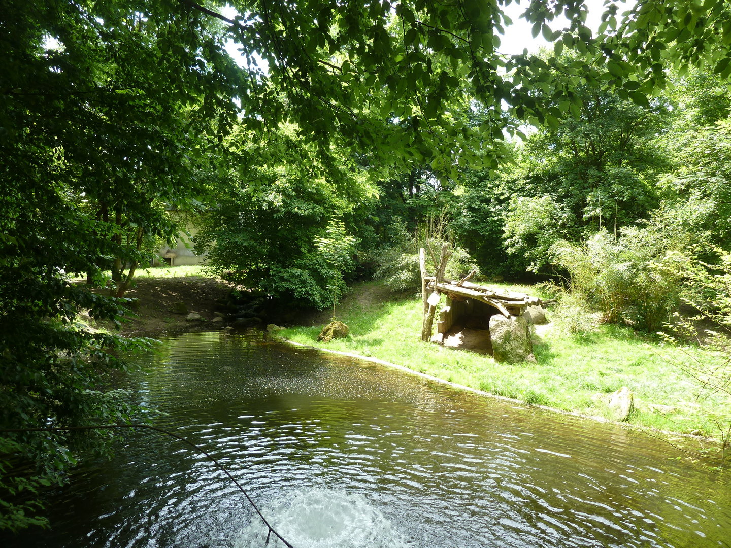 Sumatran tiger enclosure