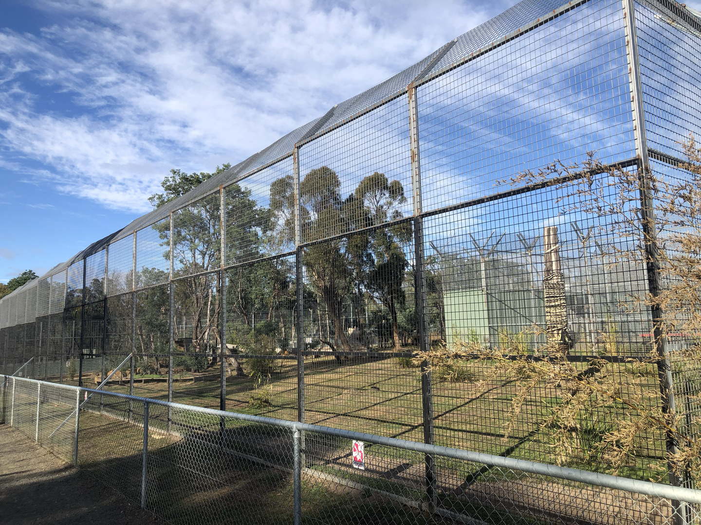 Sumatran tiger enclosure
