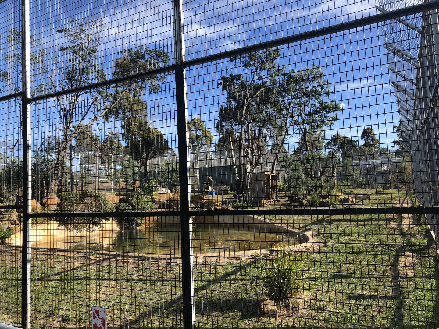 Sumatran tiger enclosure