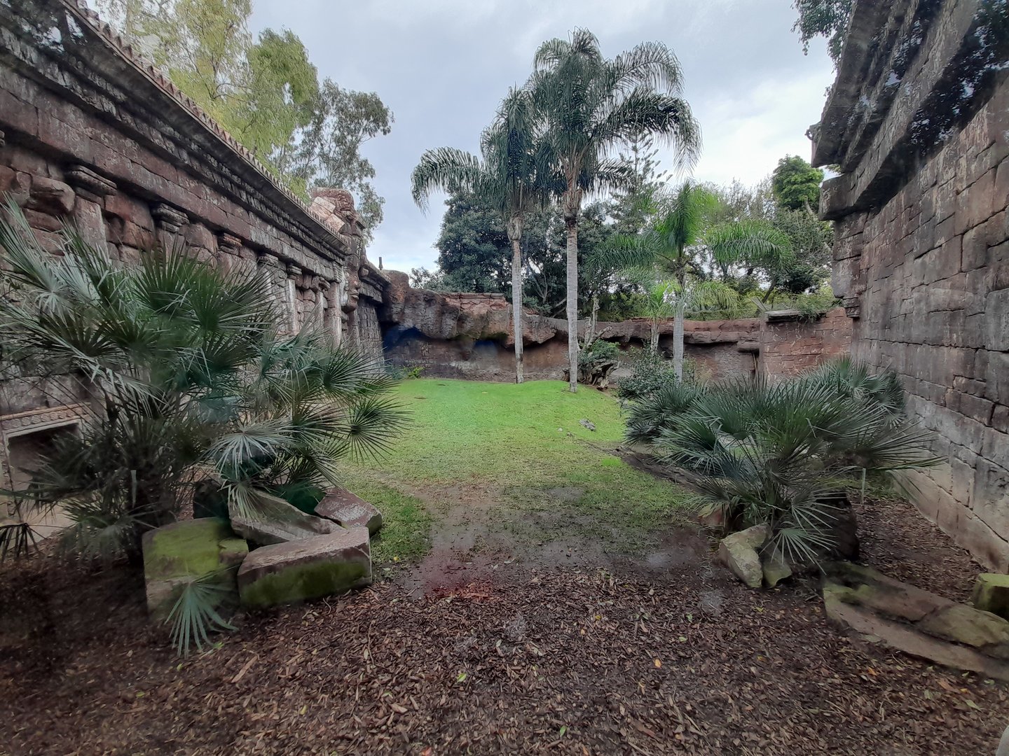 Sumatran Tiger - enclosure