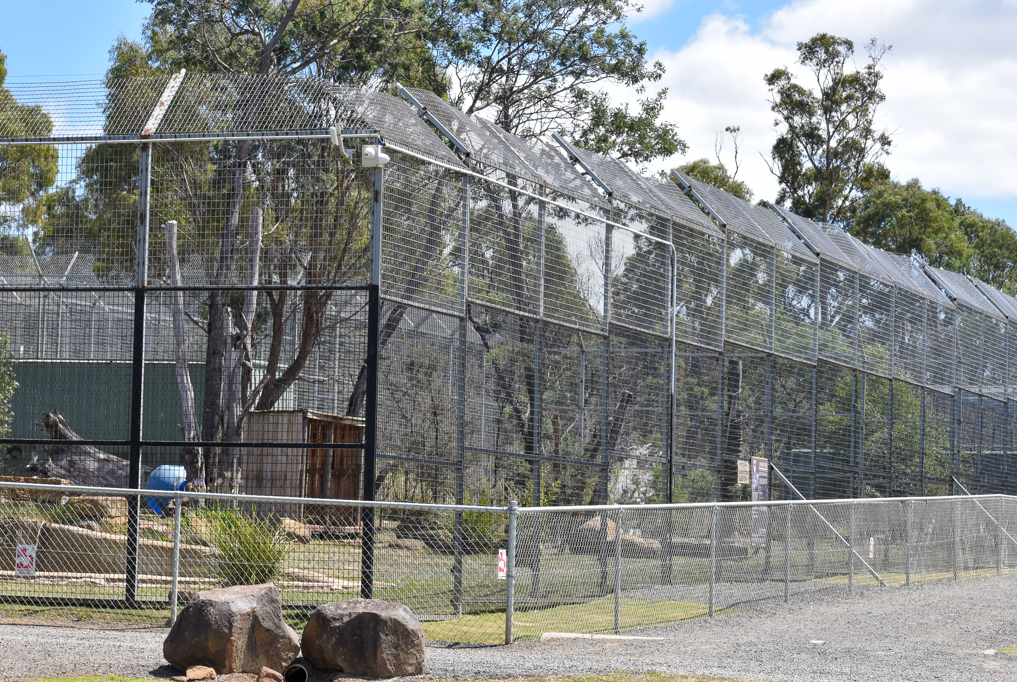 Sumatran Tiger Enclosure