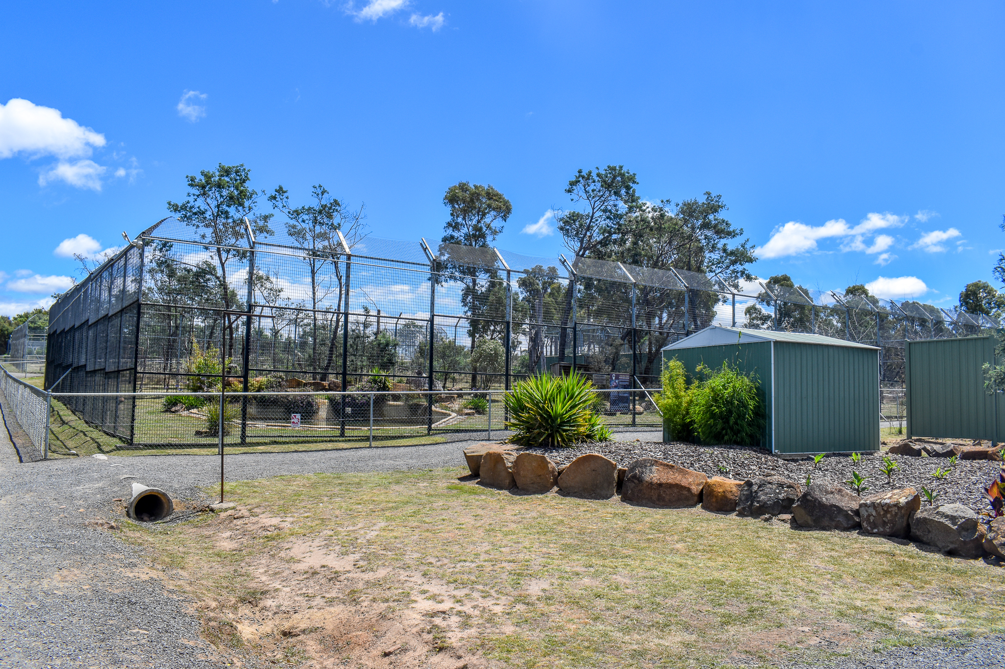 Sumatran Tiger enclosure
