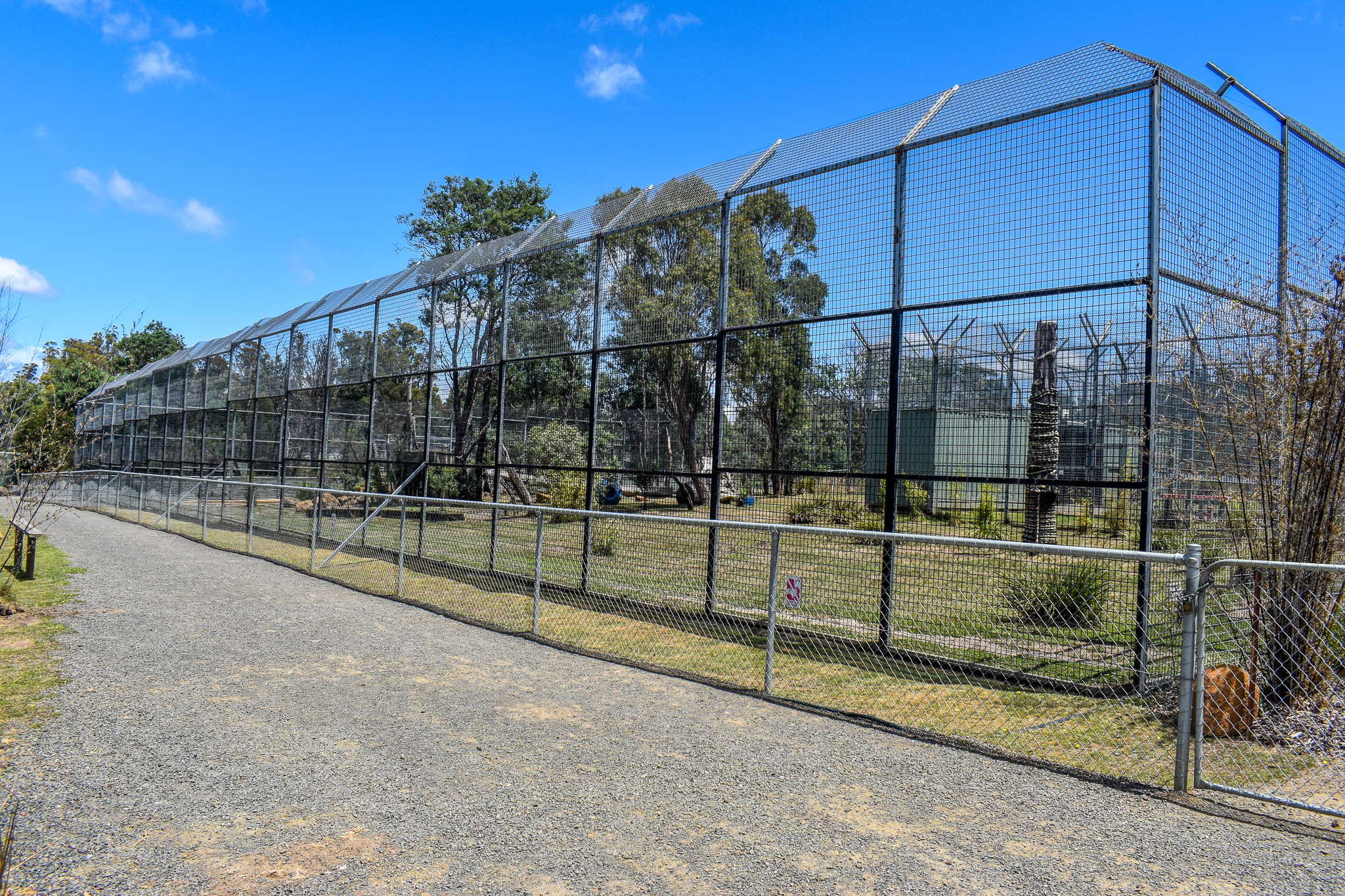Sumatran Tiger enclosure