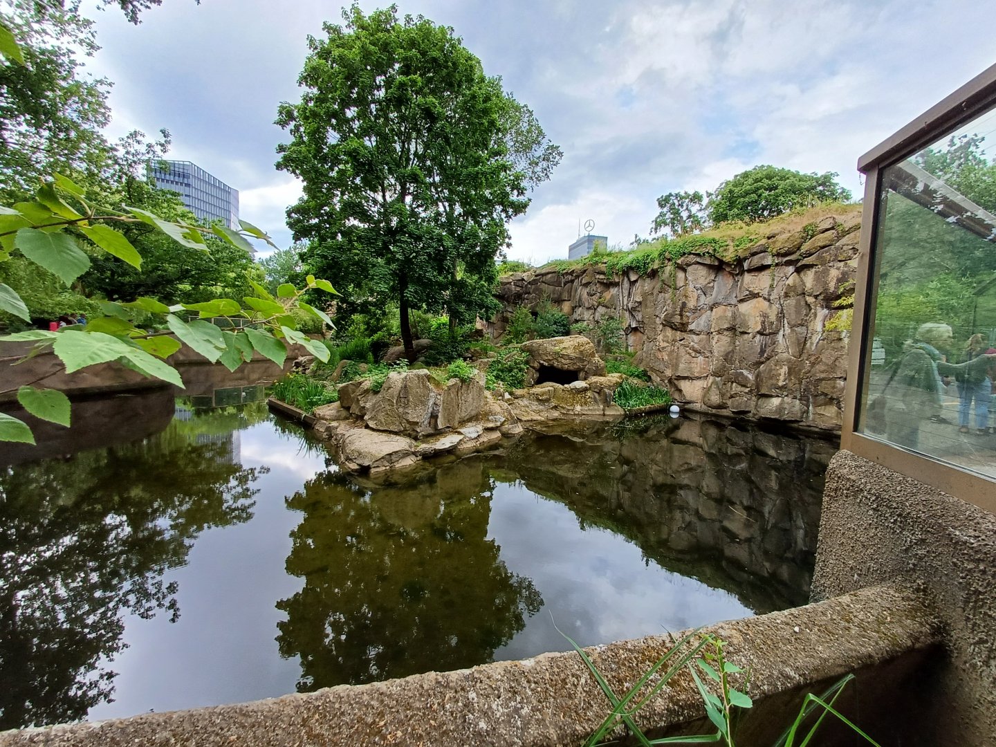 Sumatran Tiger- enclosure