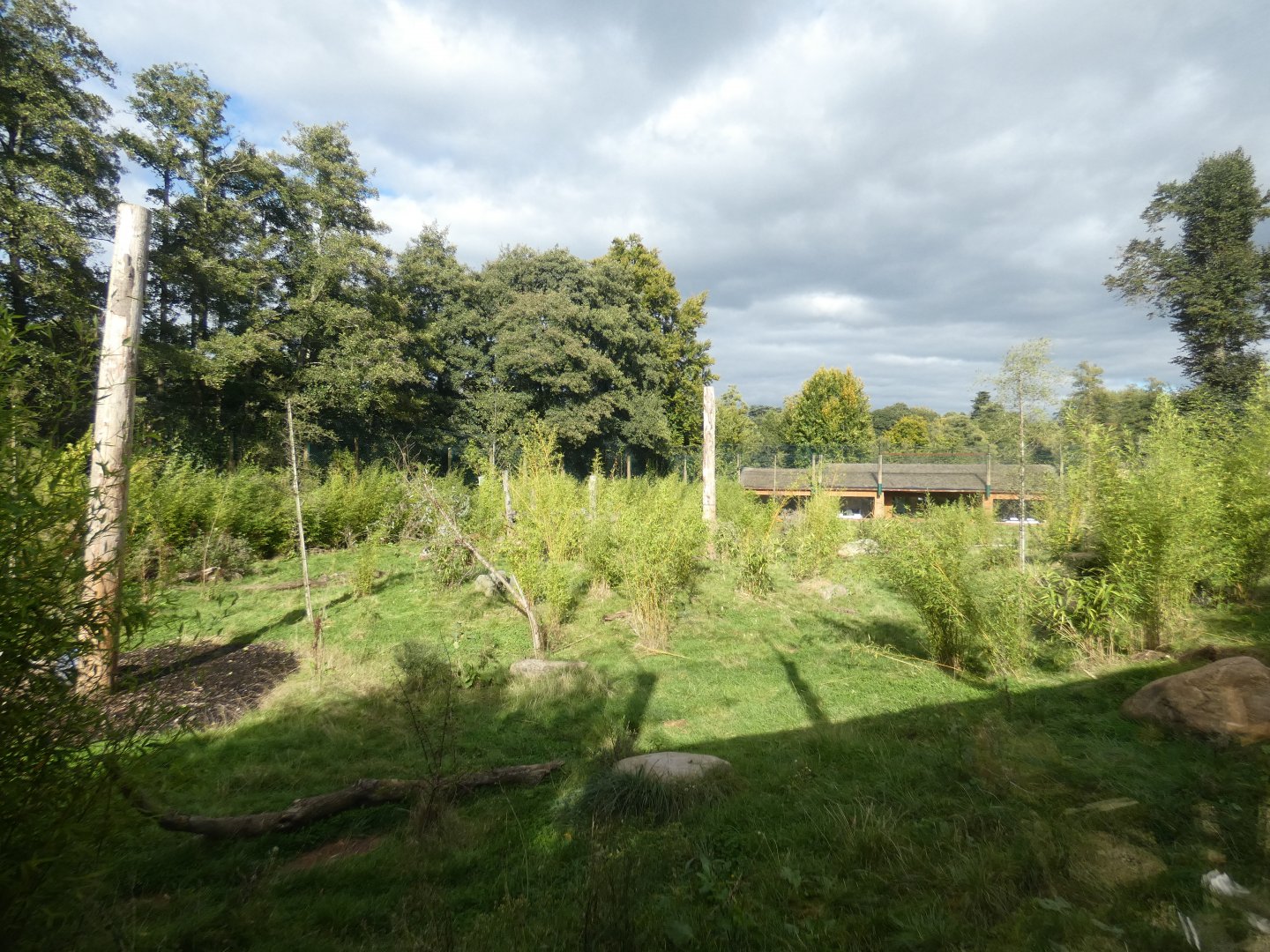 Sumatran tiger enclosure