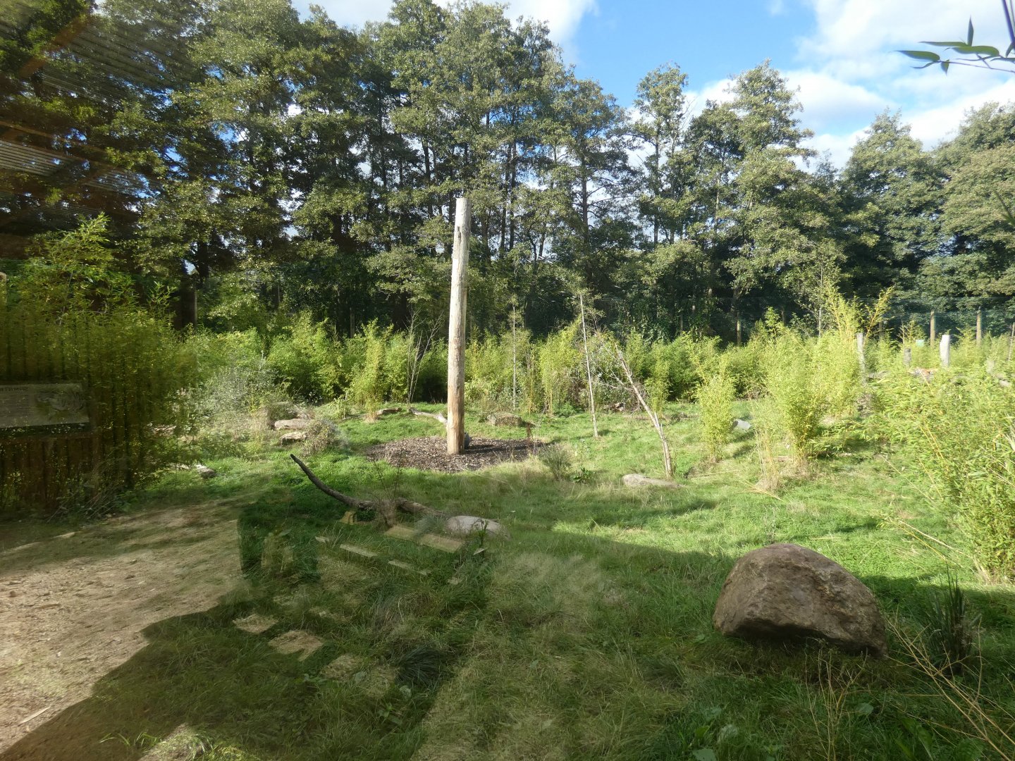 Sumatran tiger enclosure