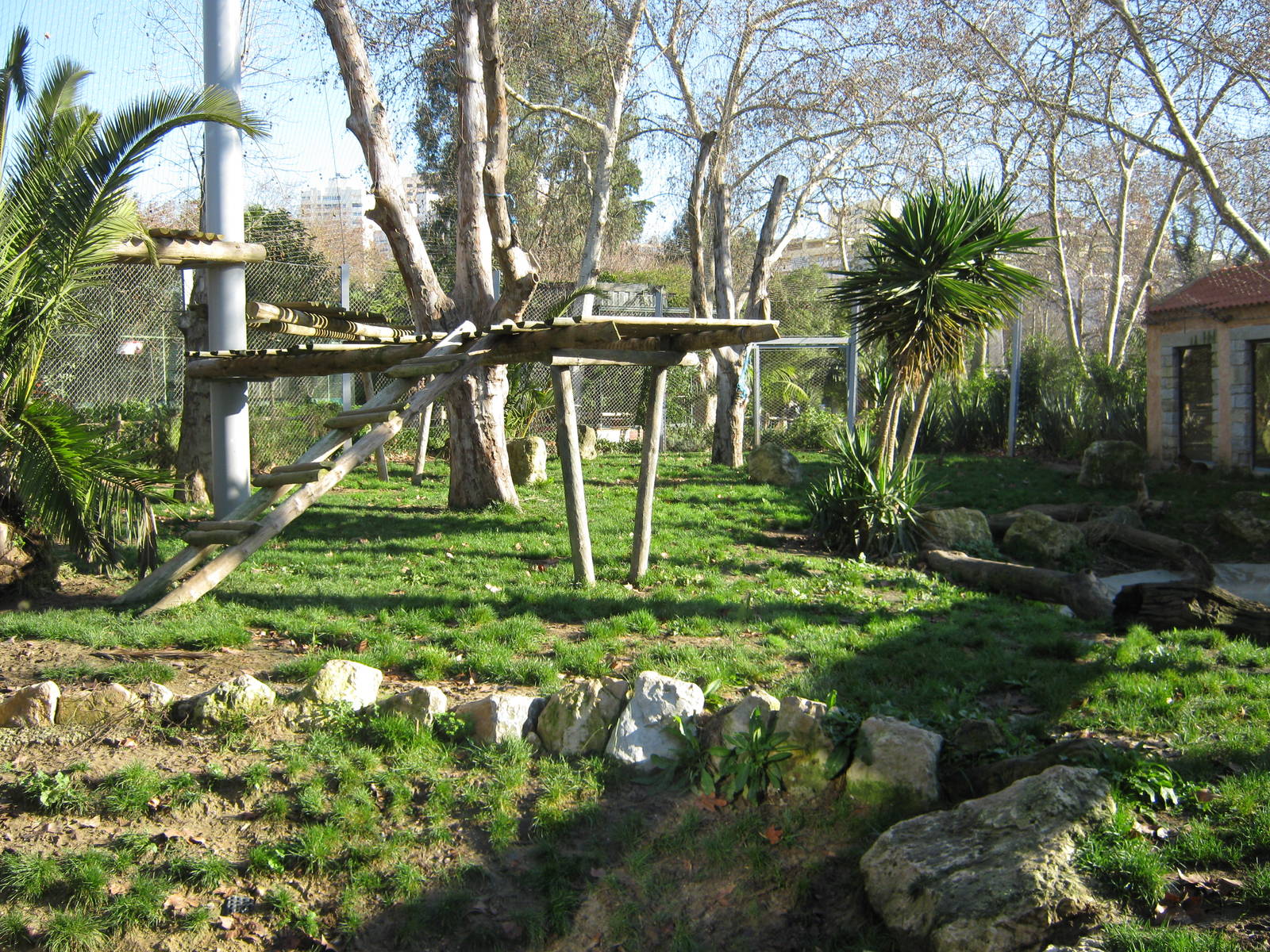 Sumatran Tiger Enclosure