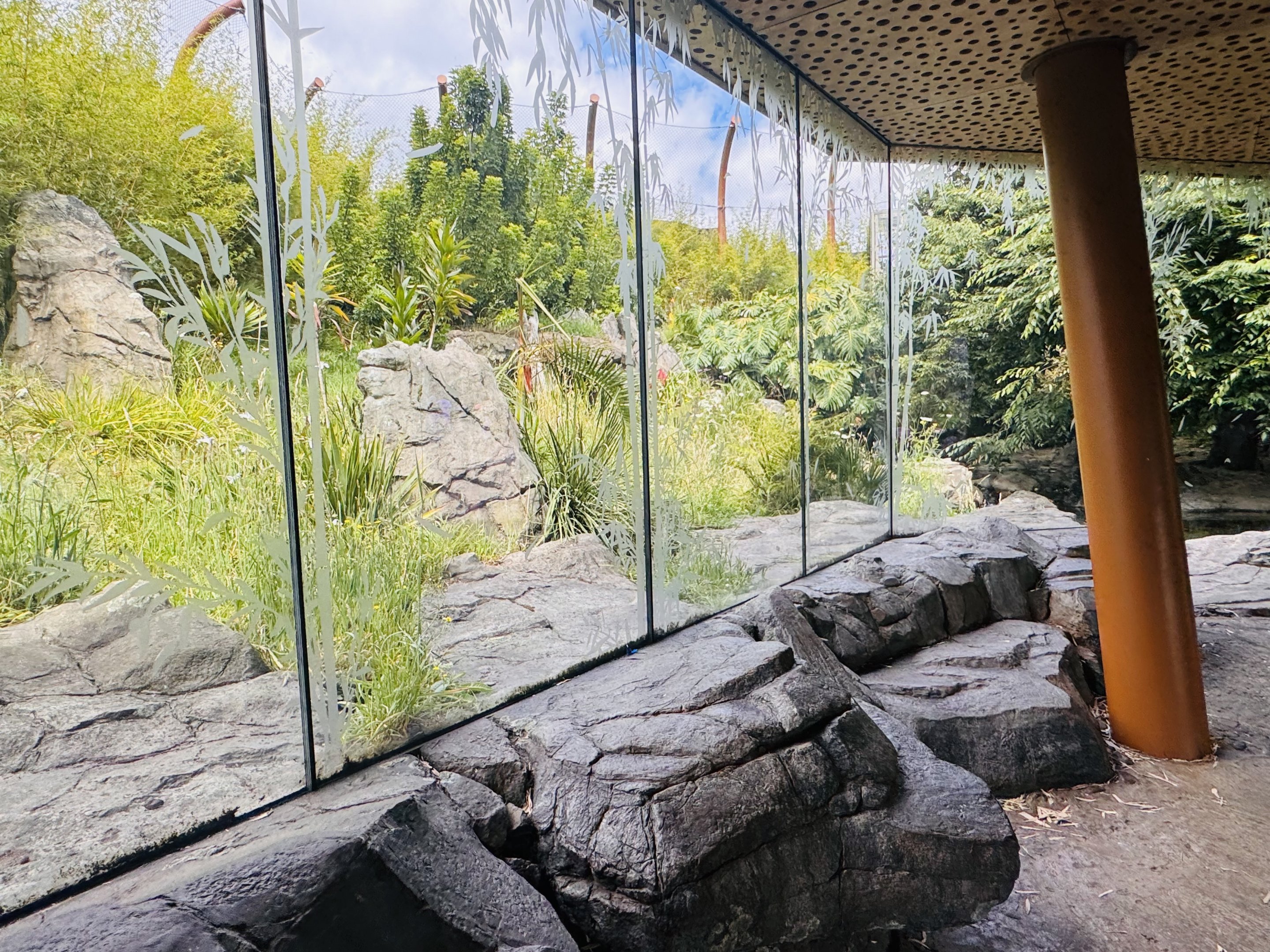 Sumatran tiger enclosure