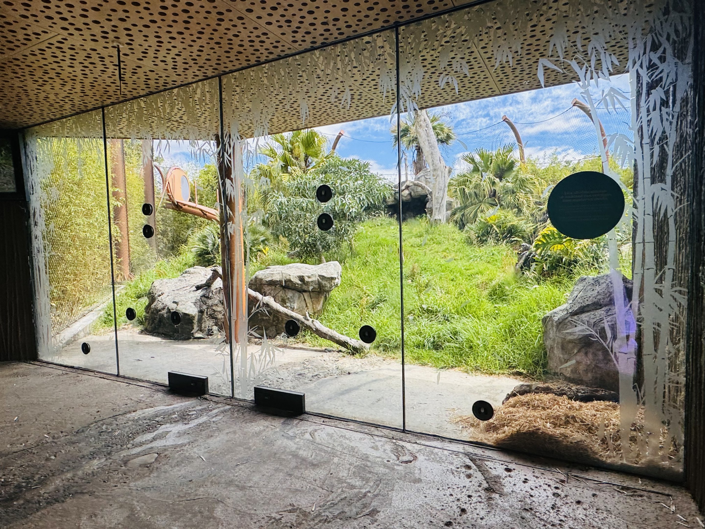 Sumatran tiger enclosure