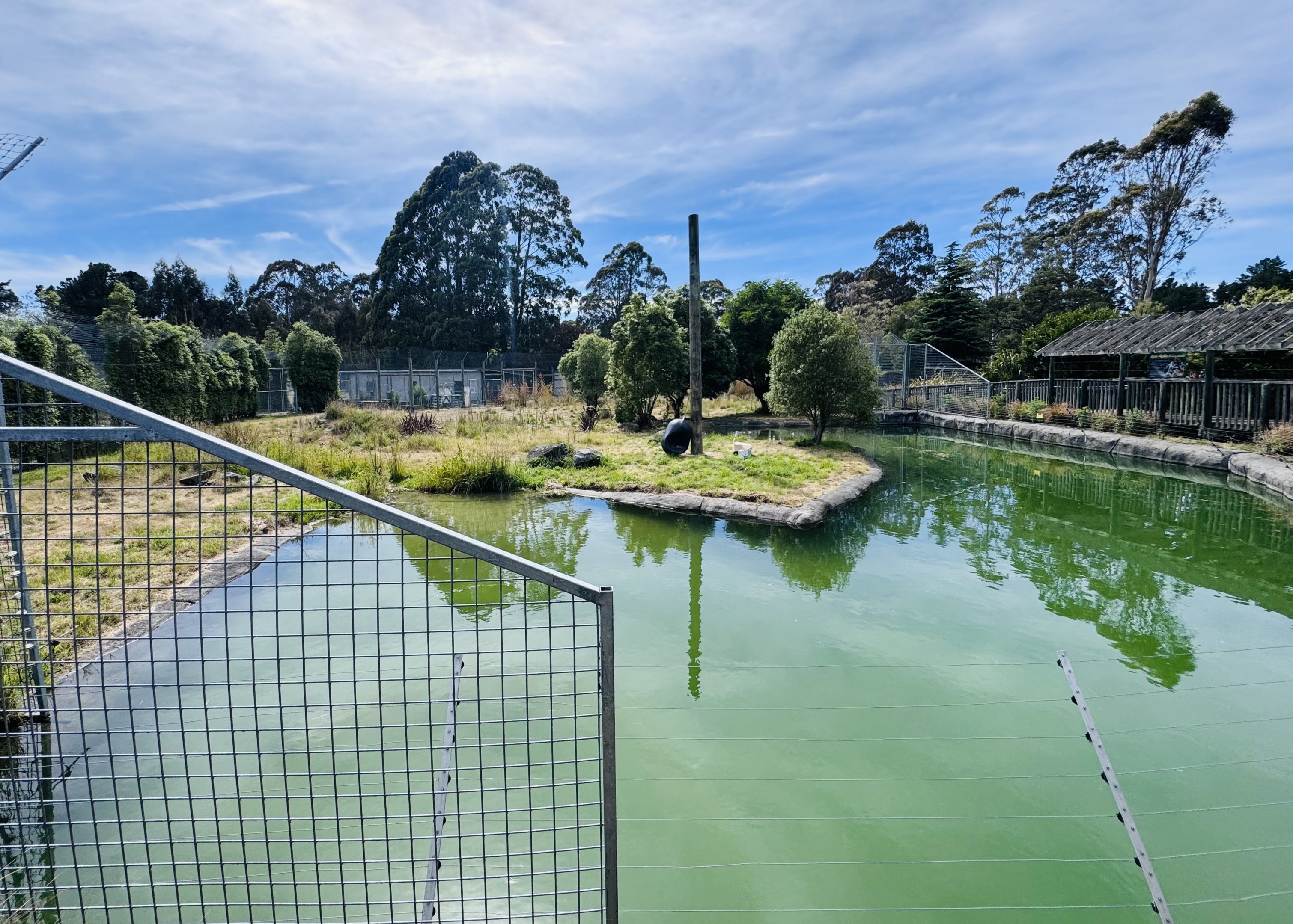Sumatran tiger enclosure