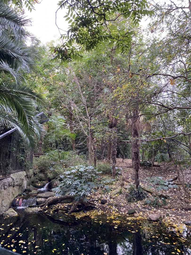 Sumatran Tiger Enclosure
