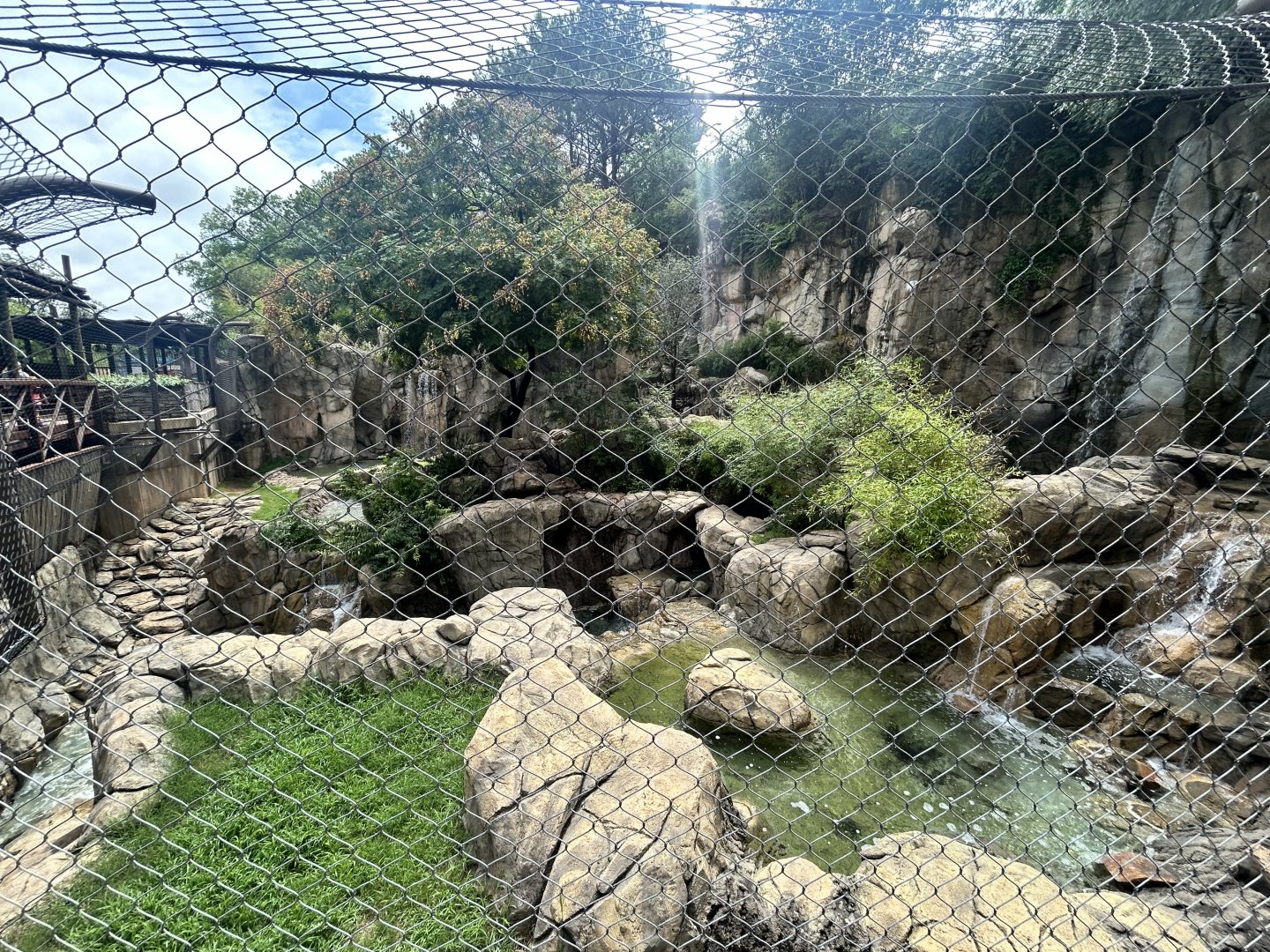 Sumatran Tiger Enclosure