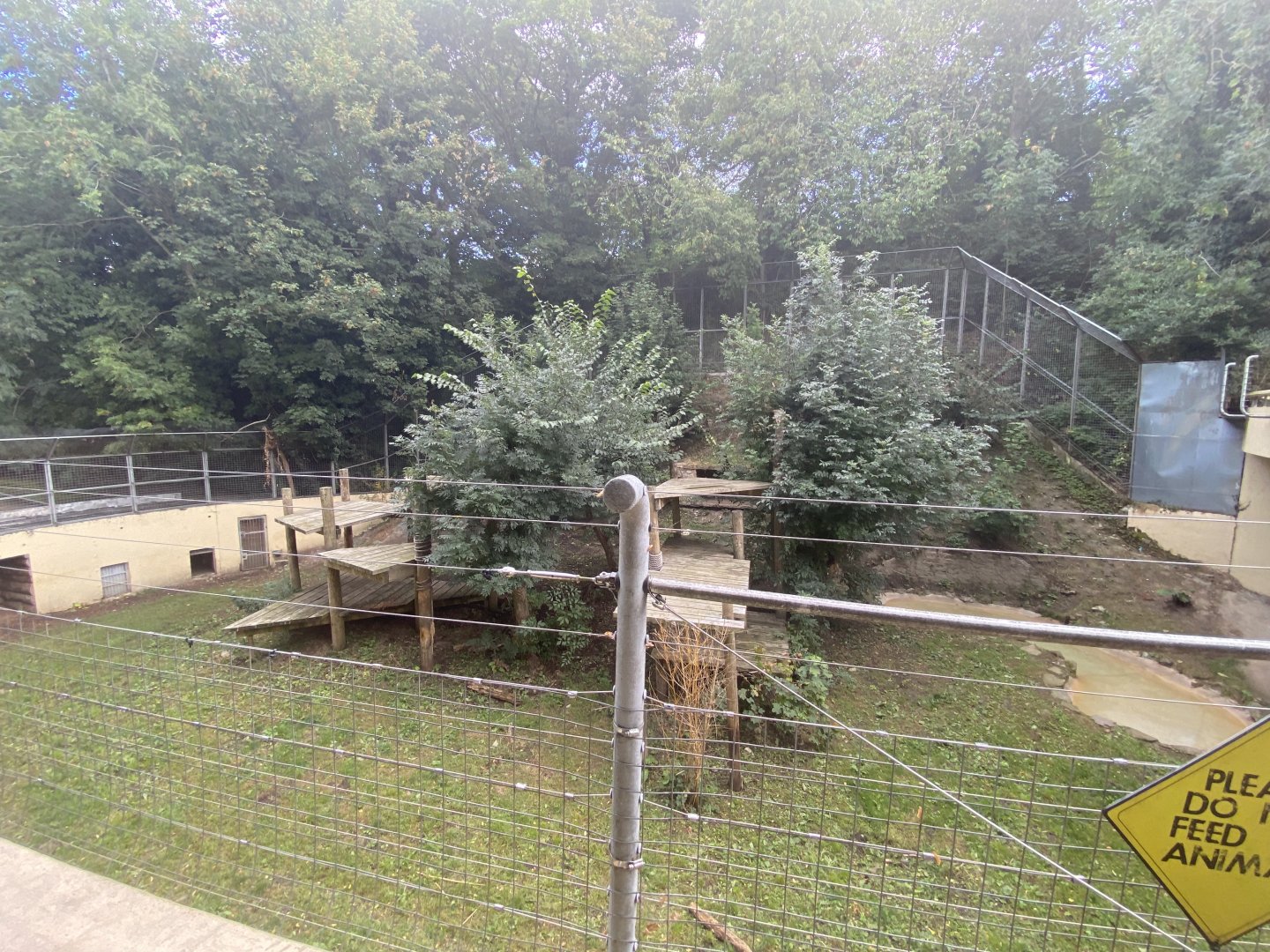 Sumatran tiger enclosure