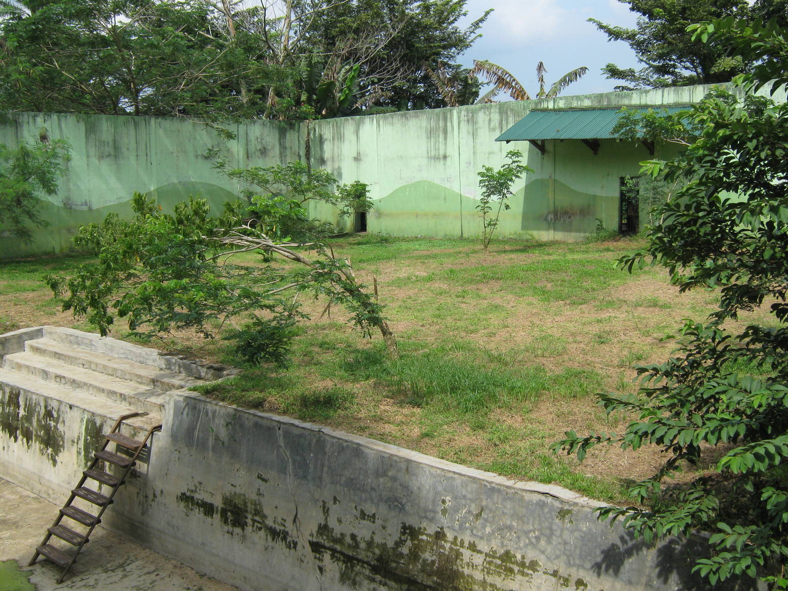 Sumatran tiger enclosure