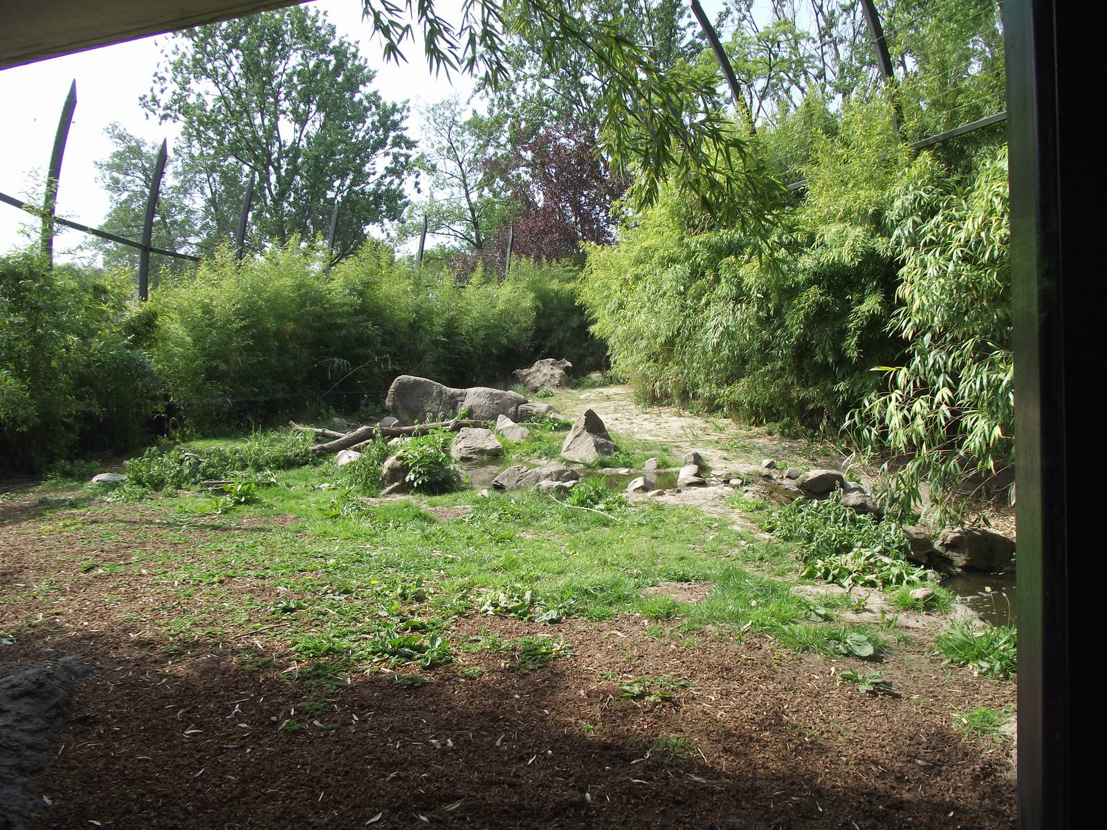 sumatran tiger exhibit 070511