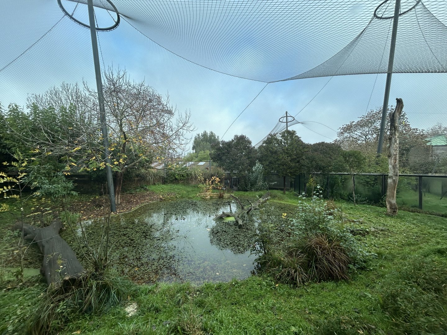 Sumatran Tiger Exhibit #1 - Tiger Territory