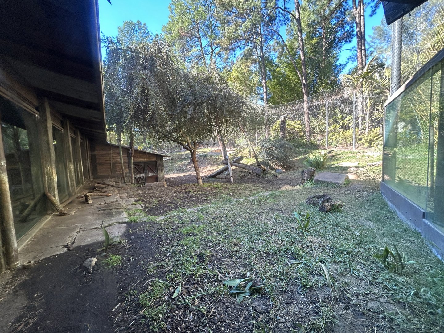 Sumatran Tiger Exhibit #1 - Tiger Trail