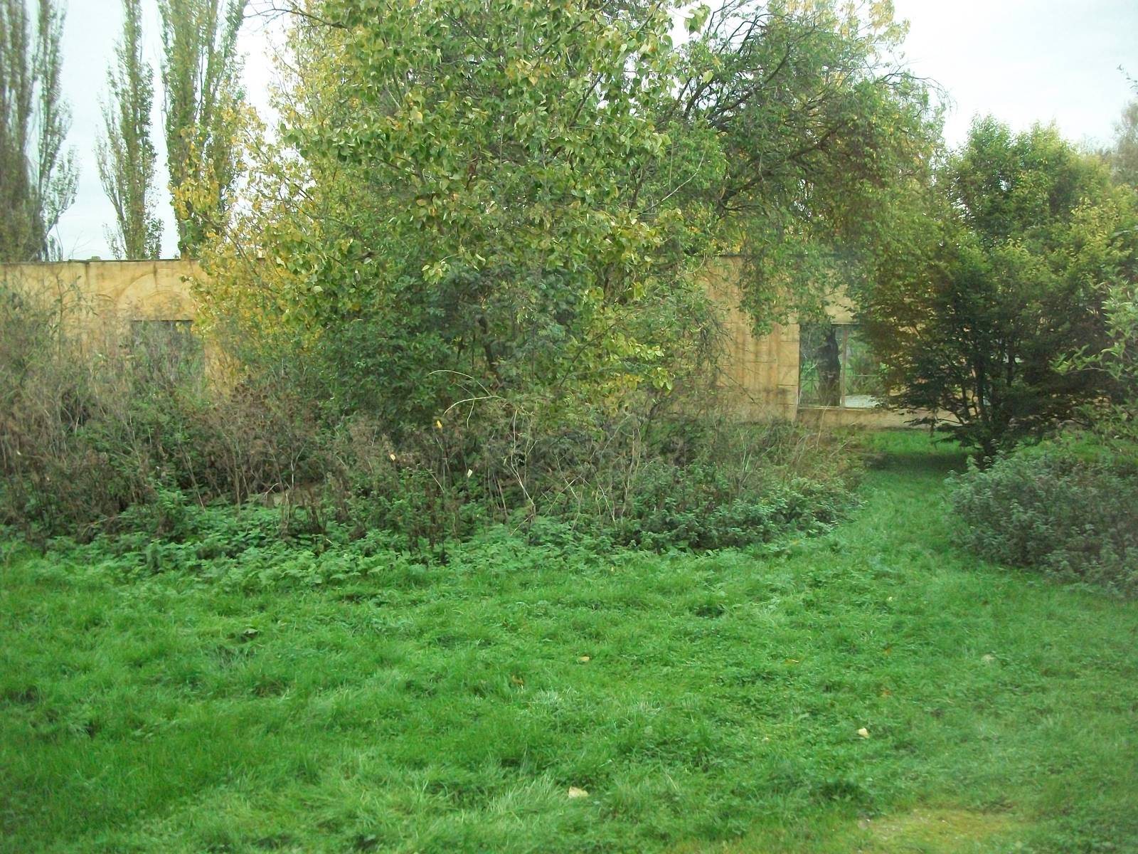 Sumatran Tiger exhibit 14th October 2011