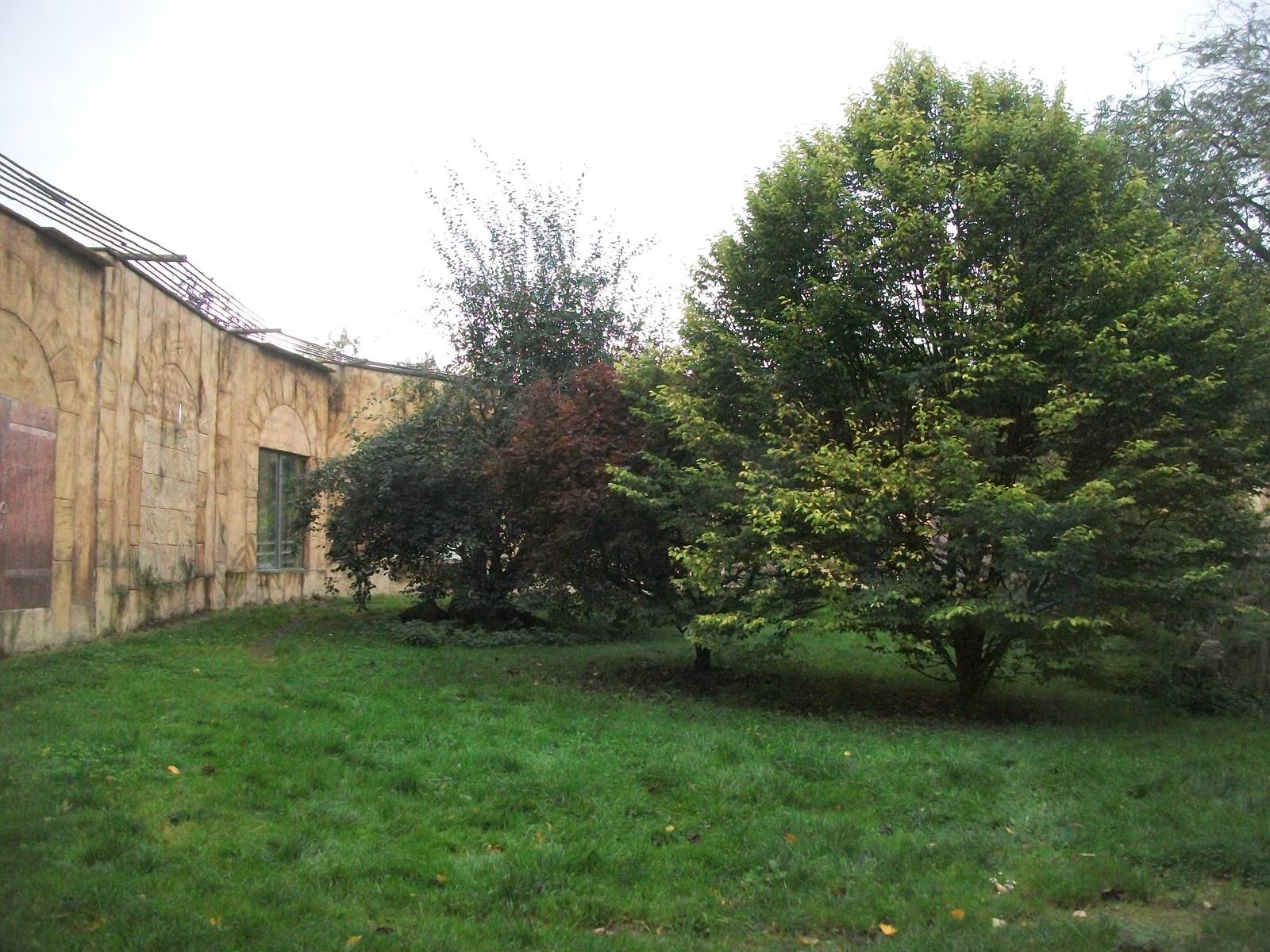 Sumatran Tiger exhibit 14th October 2011