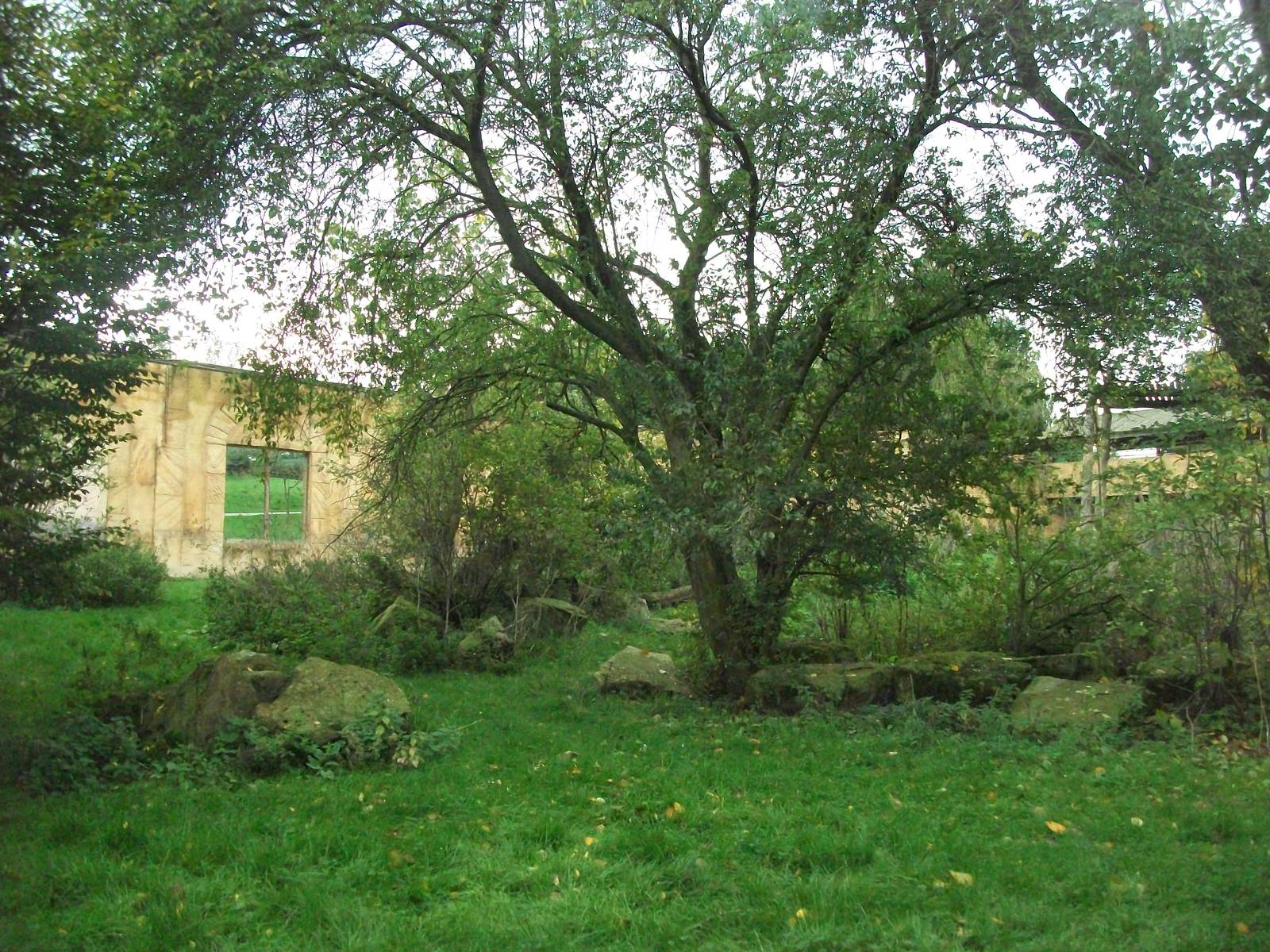 Sumatran Tiger exhibit 14th October 2011
