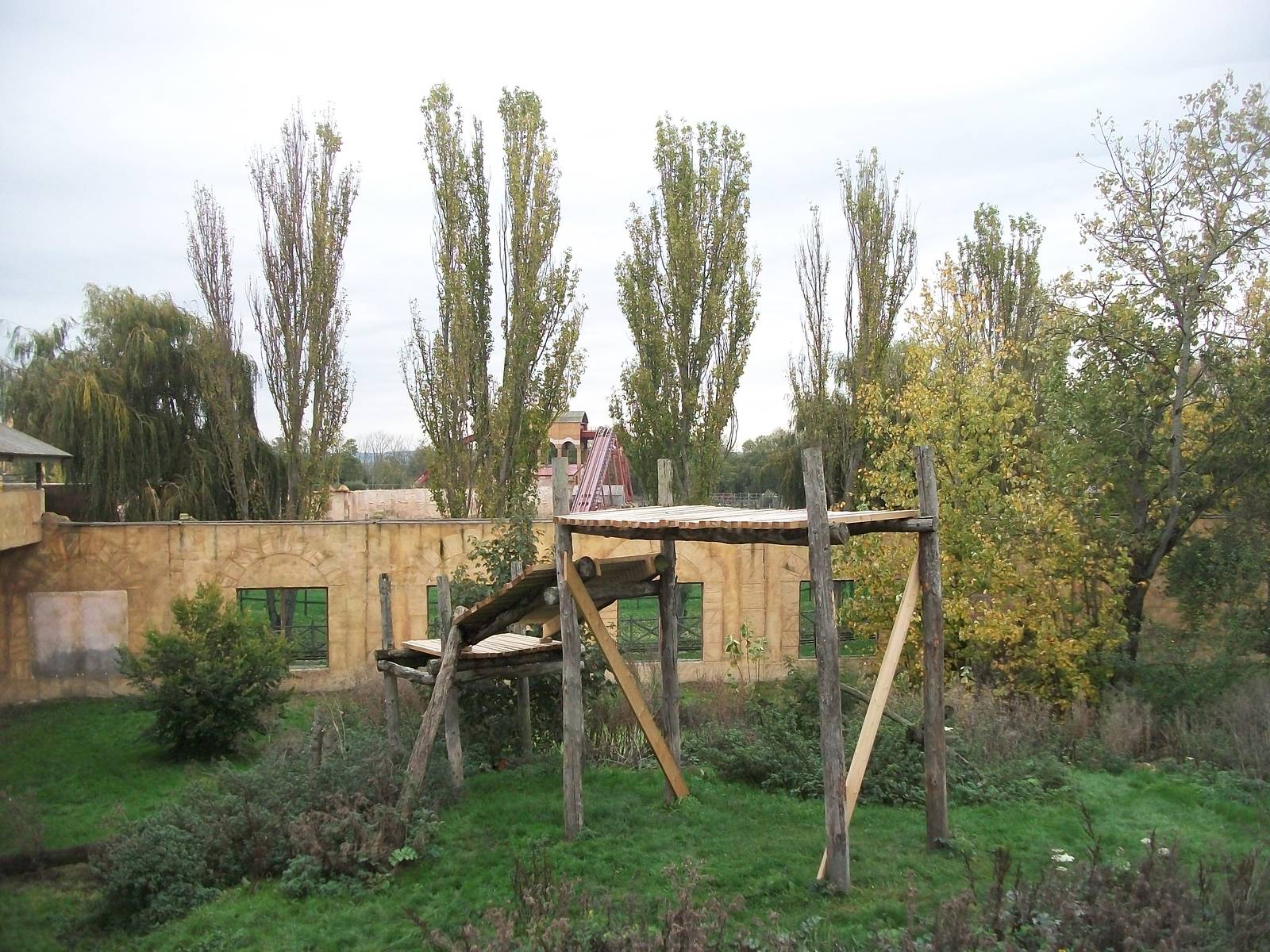 Sumatran Tiger exhibit 14th October 2011