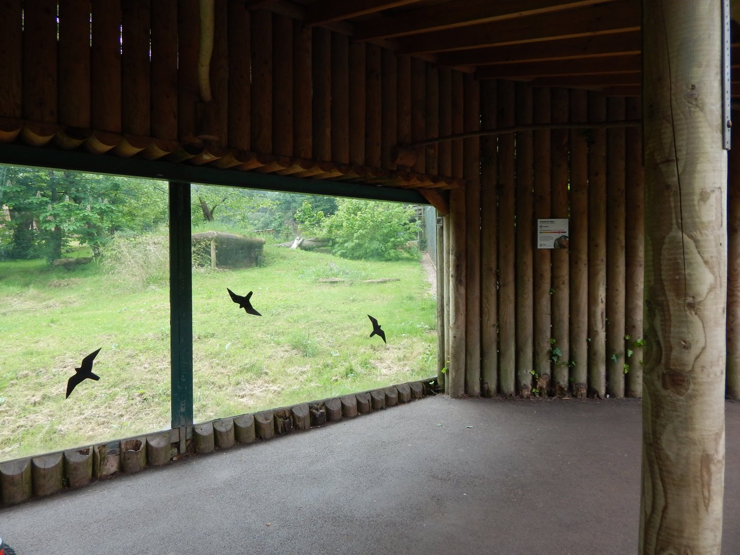 Sumatran tiger exhibit 170724