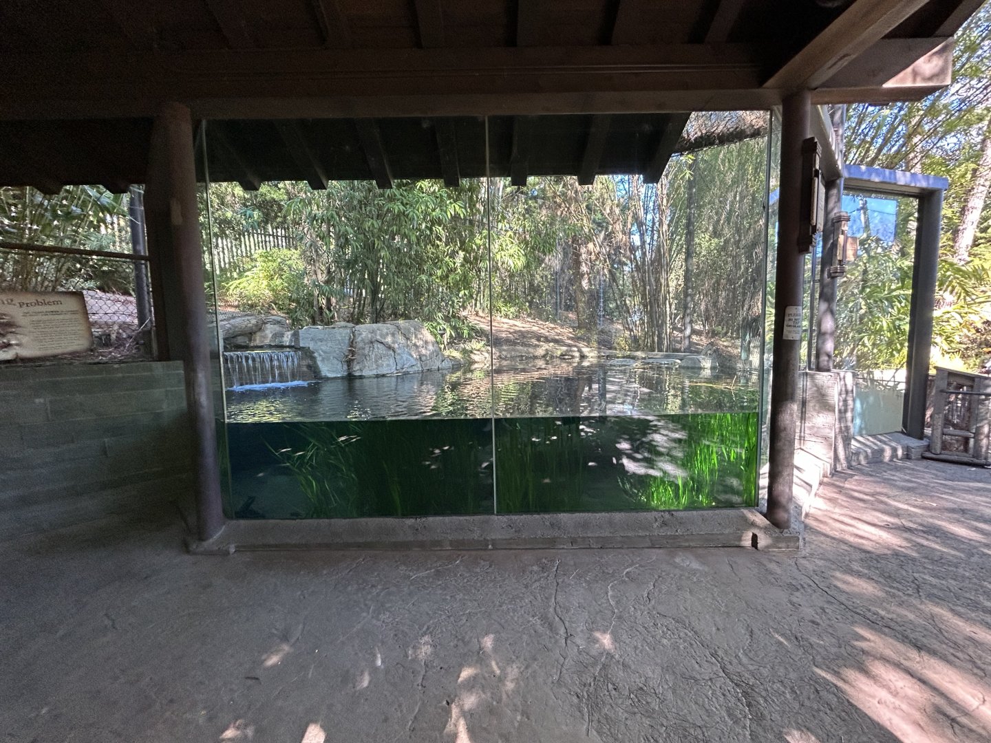 Sumatran Tiger Exhibit #2 - Tiger Trail