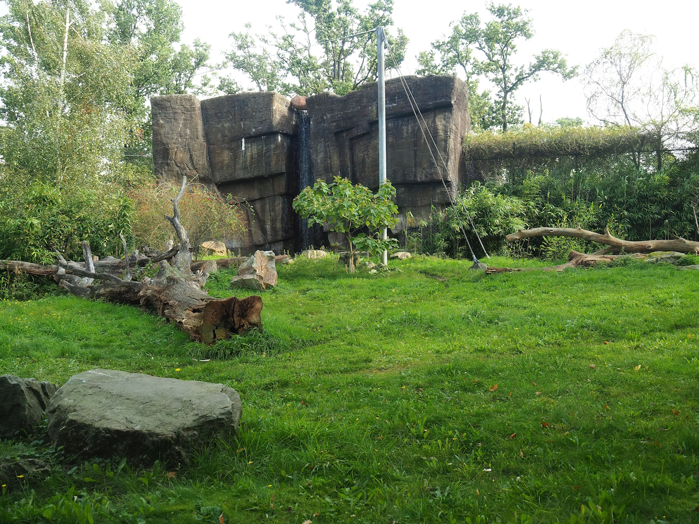 Sumatran tiger exhibit, 2023-10-07