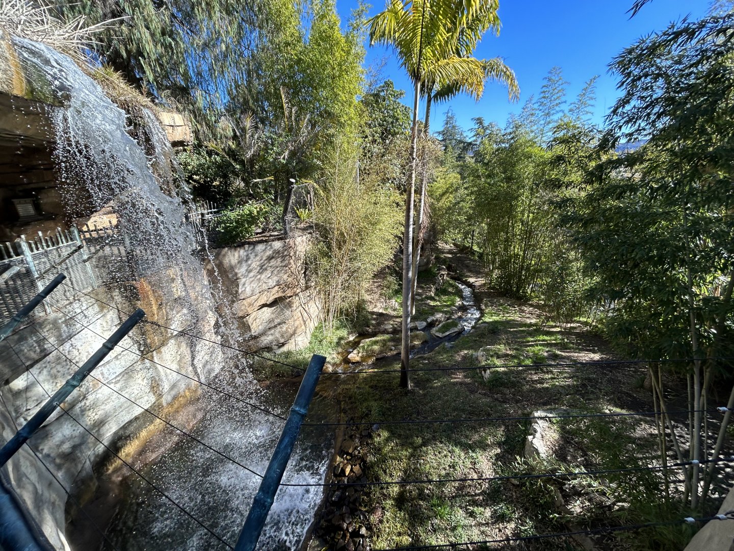 Sumatran Tiger Exhibit #3 - Tiger Trail