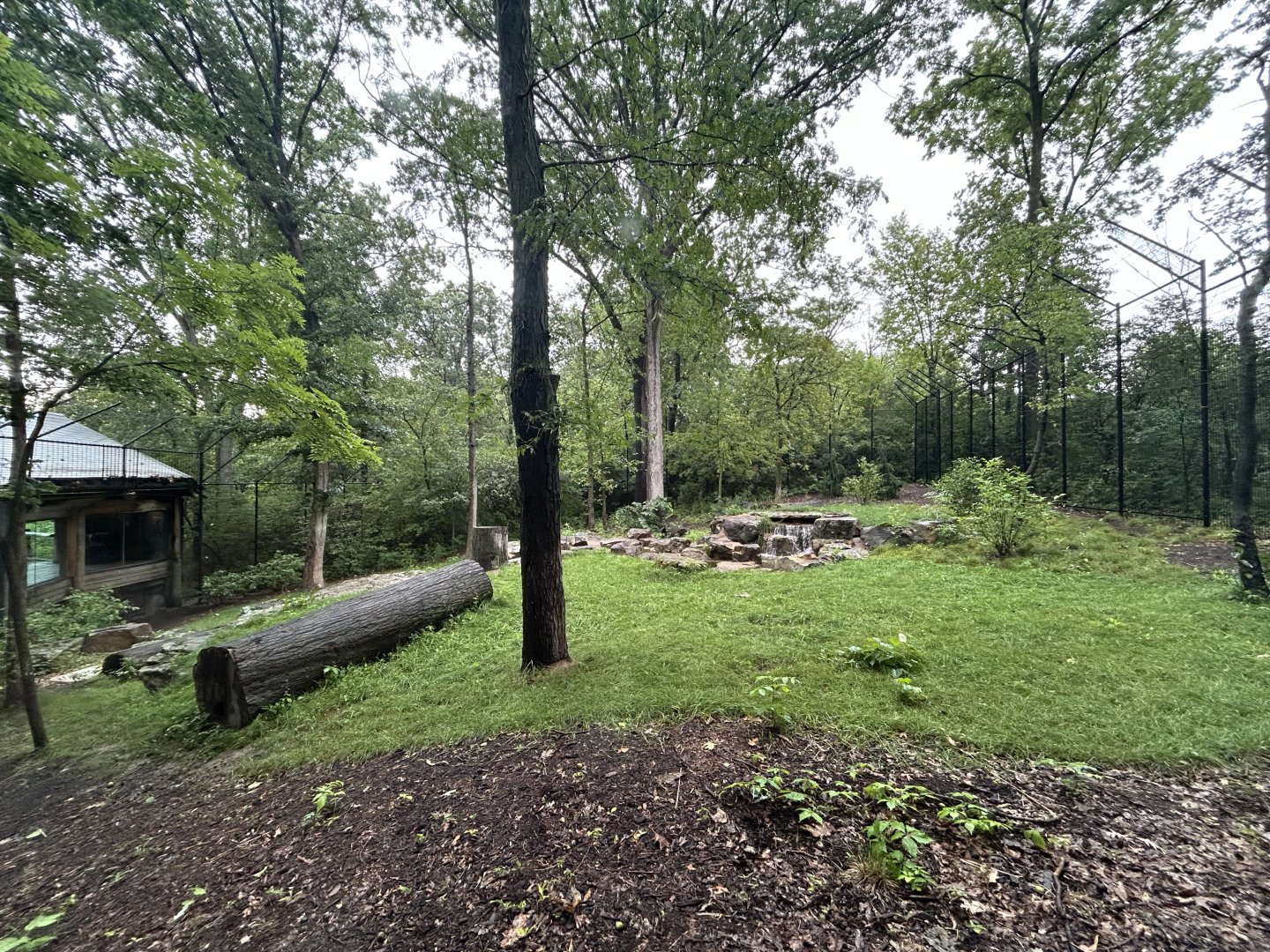 Sumatran Tiger Exhibit - Asian Trek