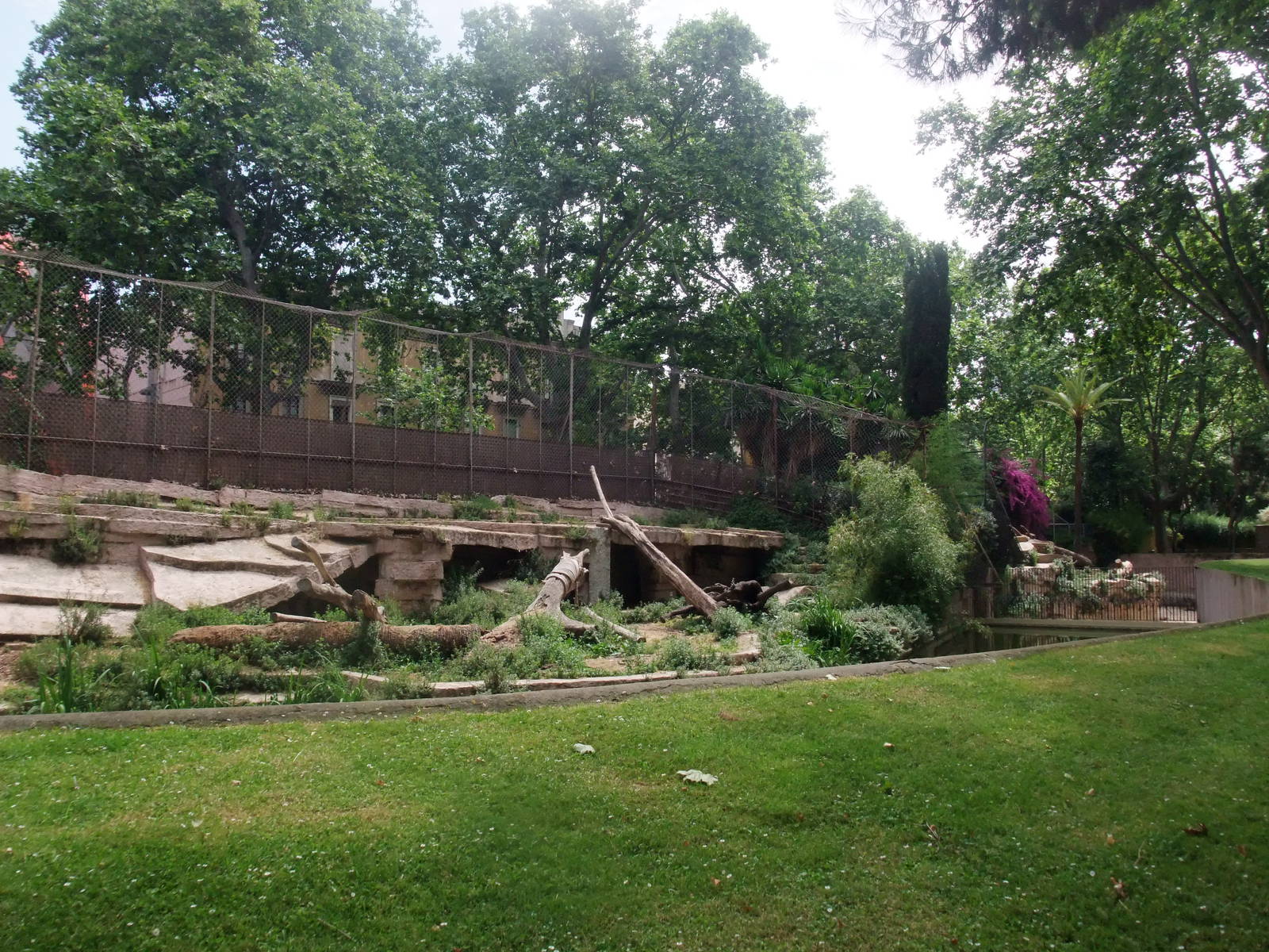 Sumatran Tiger Exhibit at Barcelona, 30/05/11