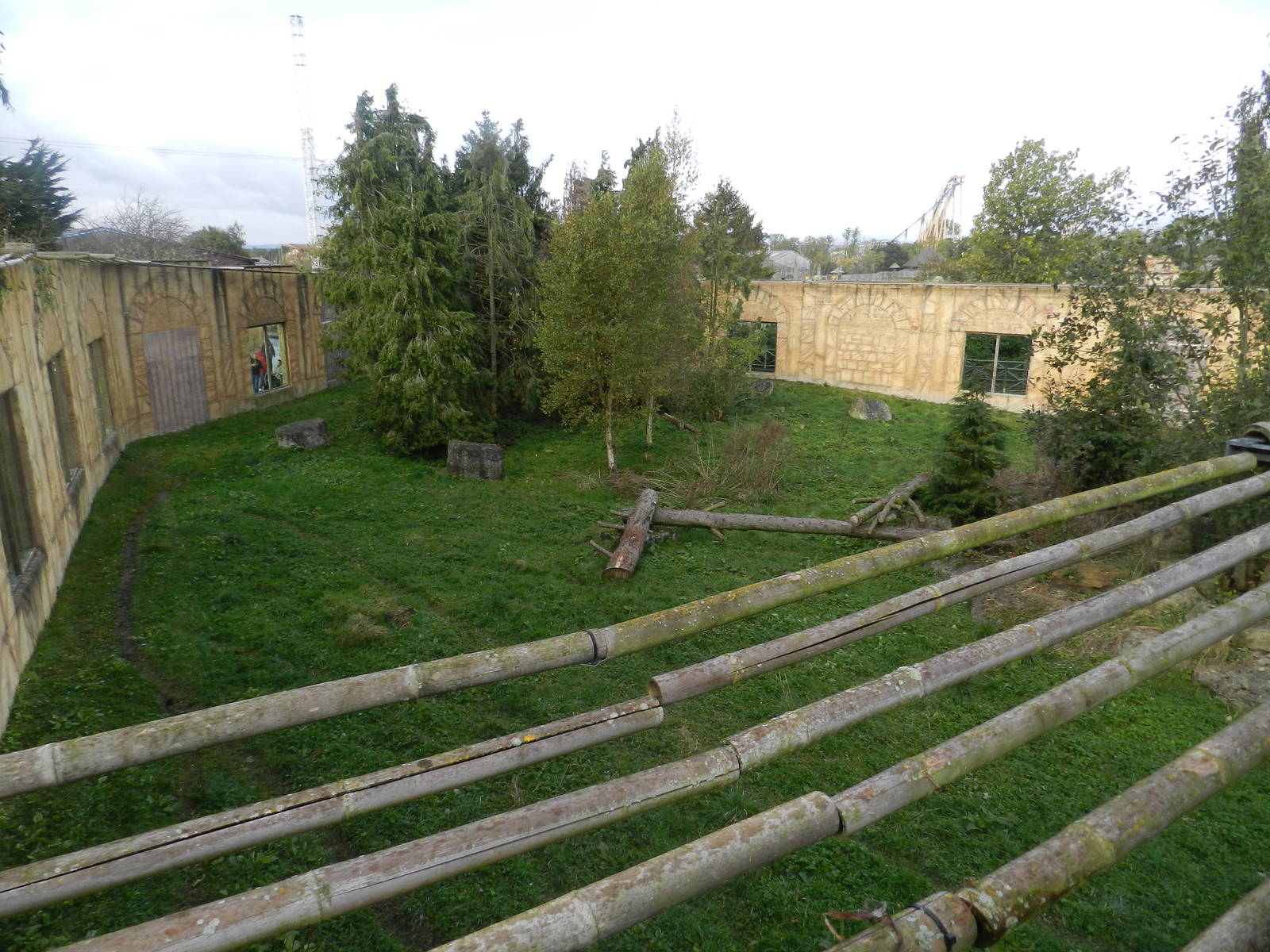 Sumatran Tiger Exhibit at Flamingo Land - 14/10/2012