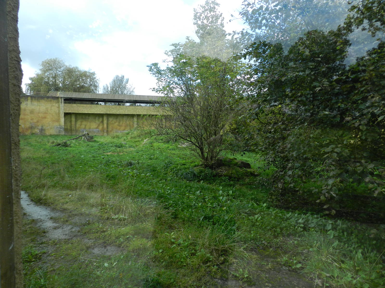 Sumatran Tiger Exhibit at Flamingo Land - 14/10/2012