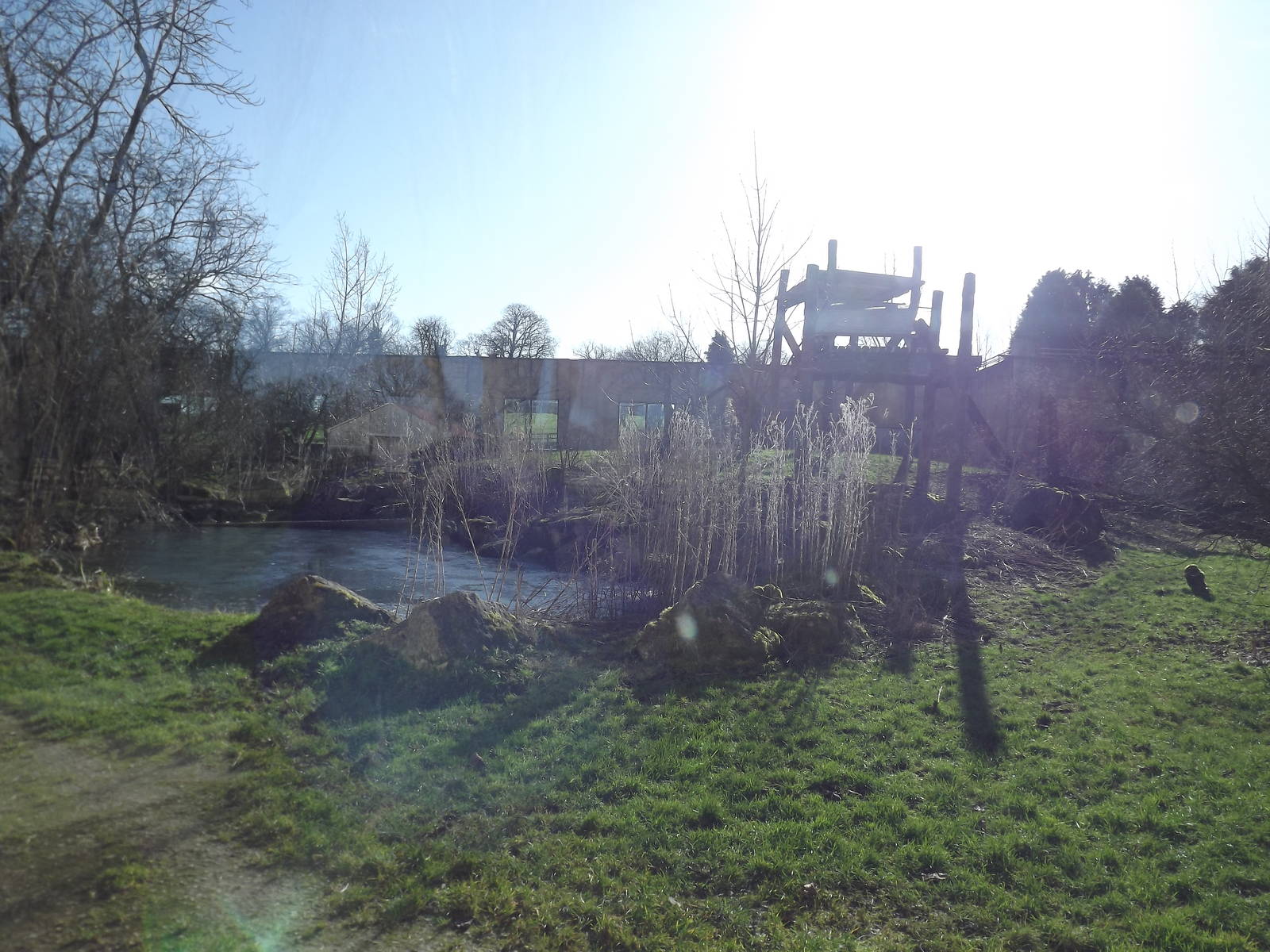 Sumatran Tiger exhibit at Flamingoland 19/02/12
