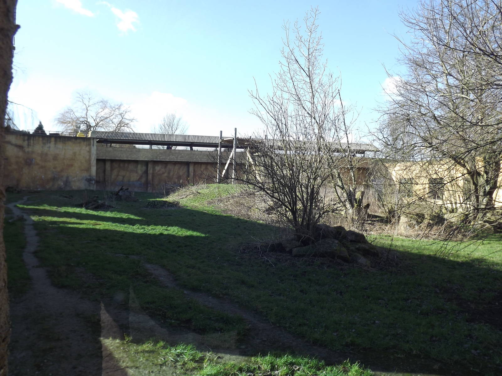 Sumatran Tiger Exhibit at Flamingoland 19/02/12