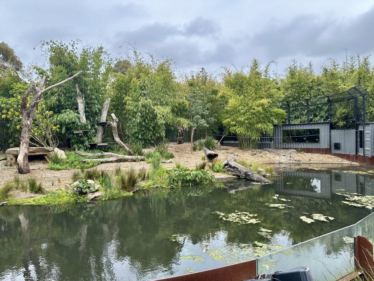 Sumatran Tiger Exhibit (Carnivores)