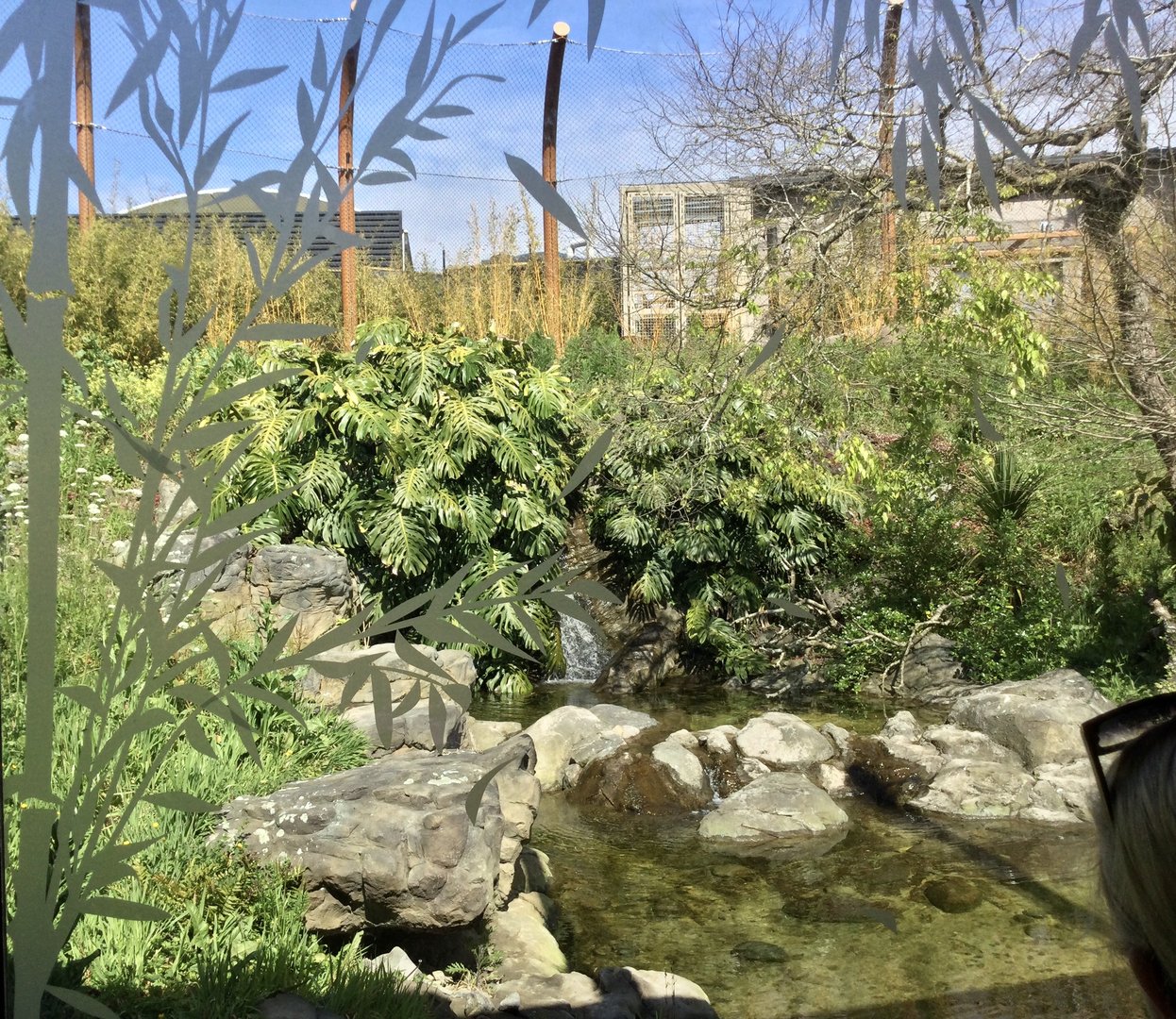 Sumatran Tiger Exhibit (Large) and Night House