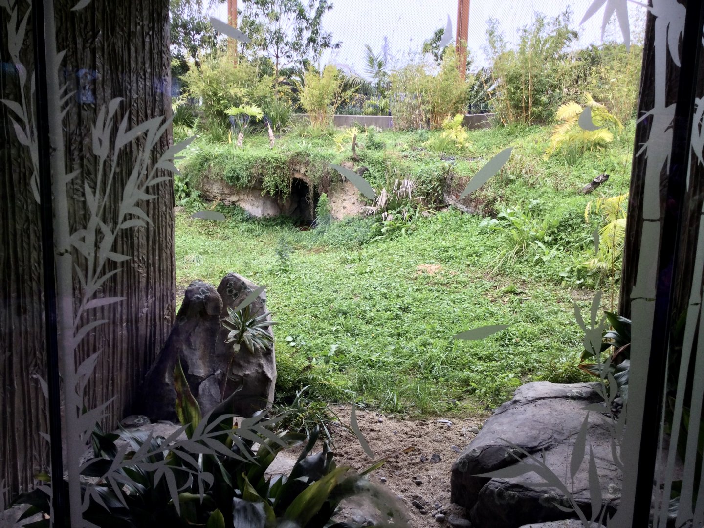Sumatran Tiger Exhibit (Large) - Far End