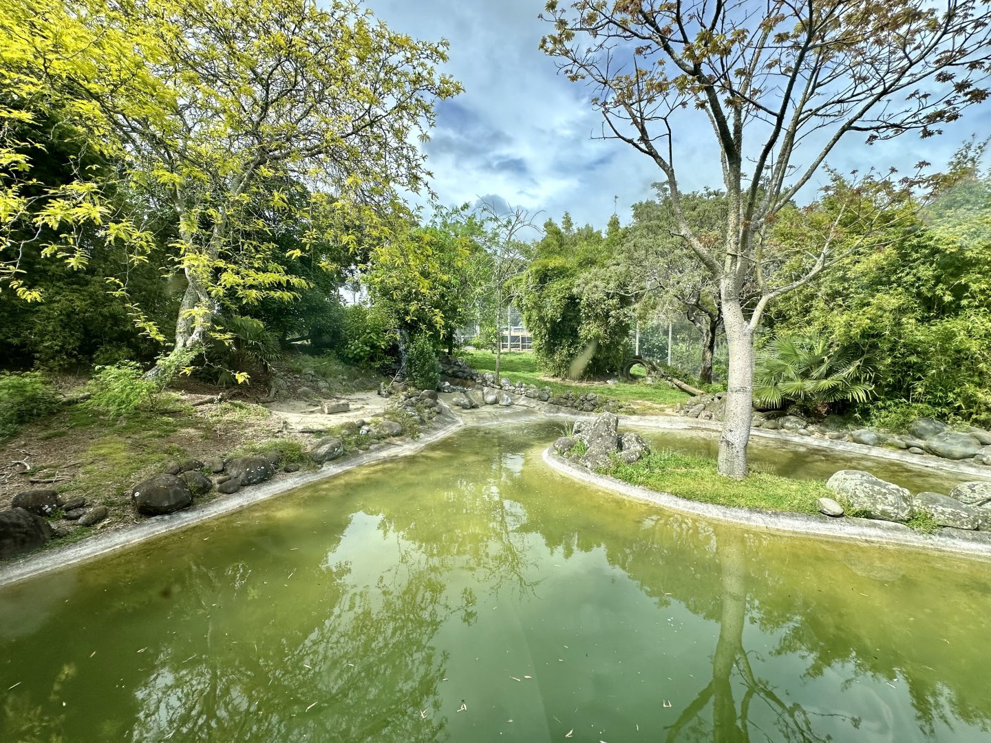 Sumatran Tiger Exhibit (Large)